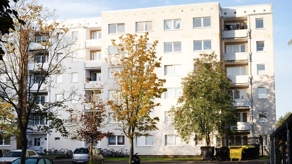 23.10.2023, Mecklenburg-Vorpommern, Greifswald: Blick auf ein Plattenbau in Greifswald. Nach einem Hinweis hatten Polizeibeamte in Greifswald am späten Samstagabend in einer Wohnung eine zerstückelte Leiche gefunden. Es ist Haftbefehl gegen einen der beiden mutmaßlichen Täter erlassen worden. Foto: Stefan Sauer/dpa +++ dpa-Bildfunk +++