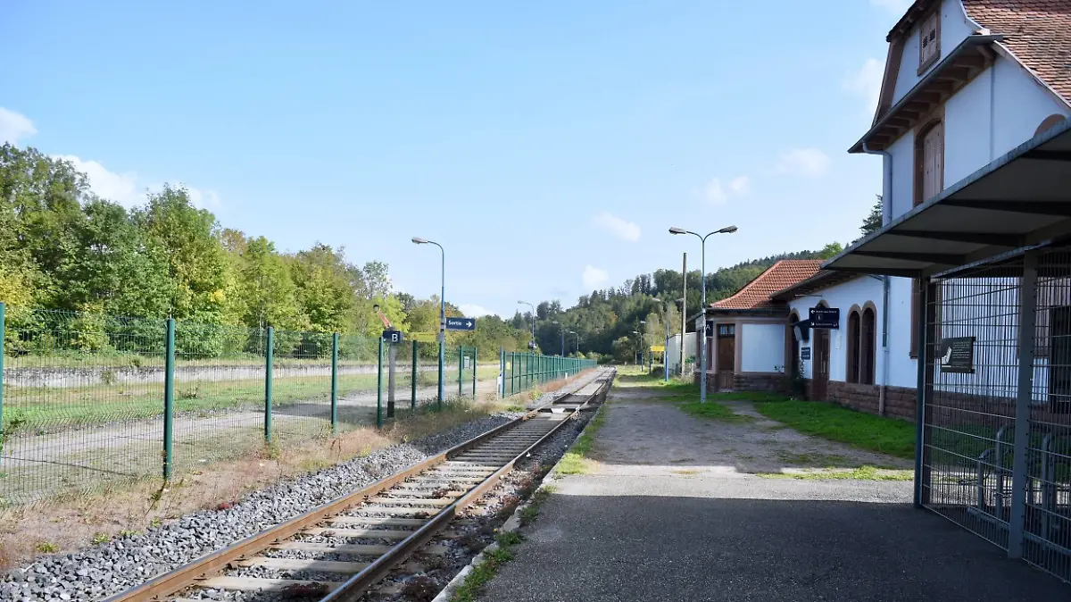 Lina, 15 Disappeared For a Week Lina, 15, disappeared between her home in Plaine and the SNCF train station in Saint Blaise la Roche, on Saturday, September 23, 2023, between 11 and 11.22 am. Report on the young girl s entire route, on the D350 departmental road on which she disappeared. Her house, the village exit, the road through the forest, the cycle path, the fishing ponds surveyed by the gendarmerie divers, the bridges and river, the yellow green markings on the ground indicating the gendarmerie search dogs stop and the presumed place of disappearance, the Saint Blaise la Roche SNCF train station, signs in neighboring villages, live press coverage of the presumed place of disappearance. on September 30, 2023, in Plaine Northeastern F PUBLICATIONxNOTxINxFRAxESPxUKxUSAxBELxPOL Copyright: xRosesxNicolas/ABACAx 869967_004 RosesxNicolas/ABACAx 869967_004