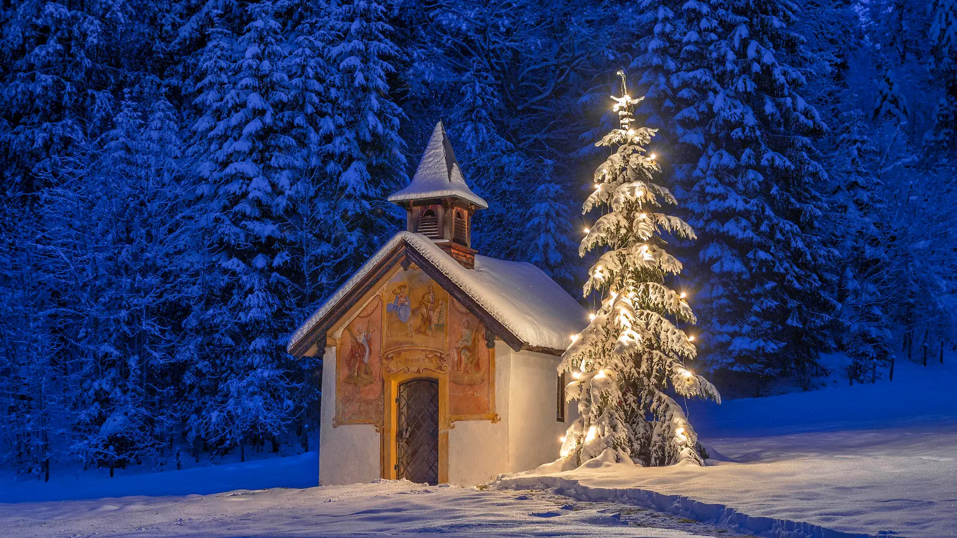 Beleuchteter Christbaum vor einer Kapelle im Winter, Bayern, Oberbayern, Deutschland, Europa Beleuchteter Weihnachtsbaum mit Kapelle bei Nacht, Winterlandschaft, Bayern, Deutschland *** Illuminated Christmas tree in front of a chapel in winter, Bavaria, Upper Bavaria, Germany, Europe Illuminated Christmas tree with chapel at night, winter landscape, Bavaria, Germany