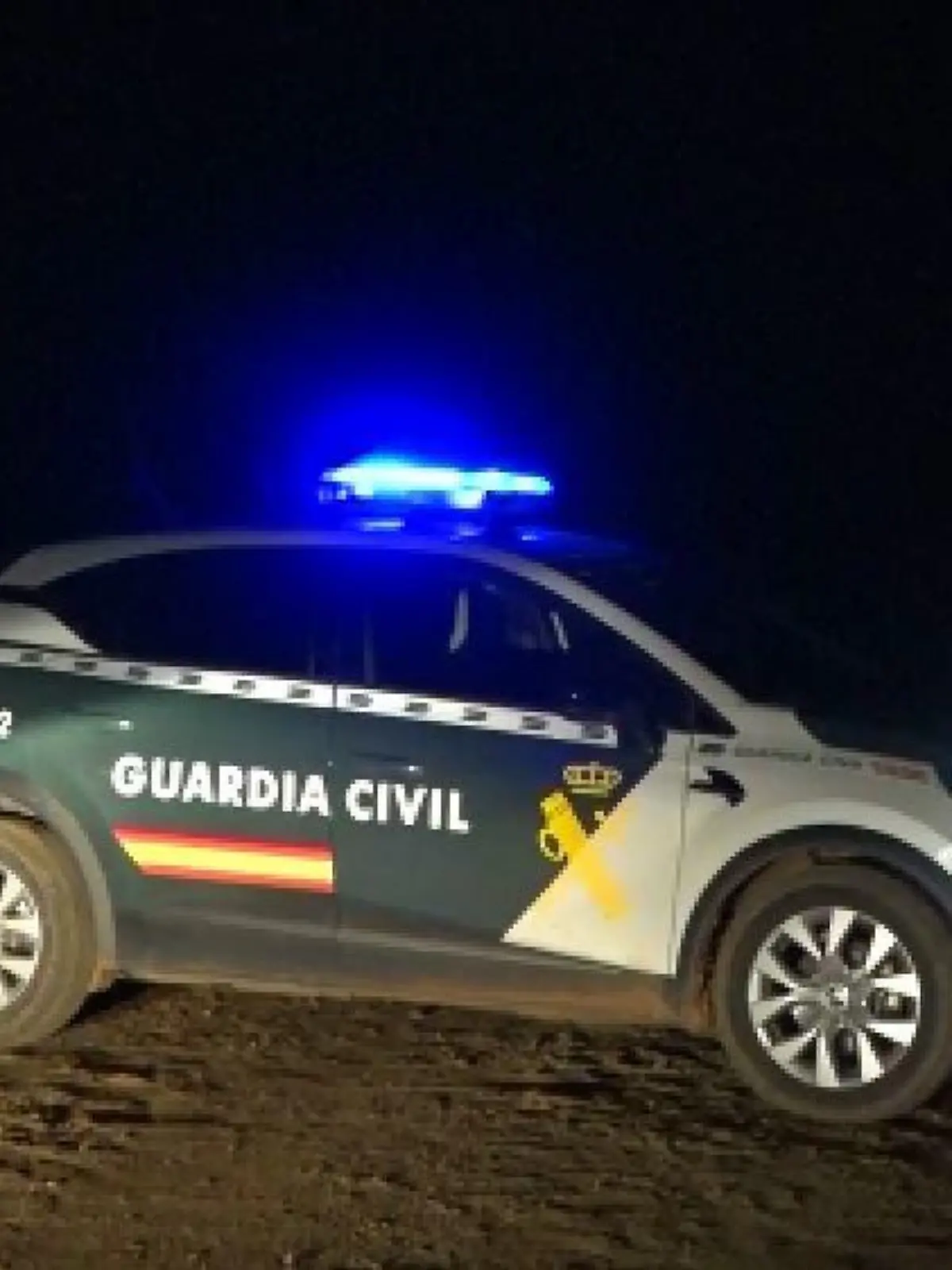 Im spanischen Zamora wird eine 27-jährige Frau von einem Hunderudel angefallen und getötet.