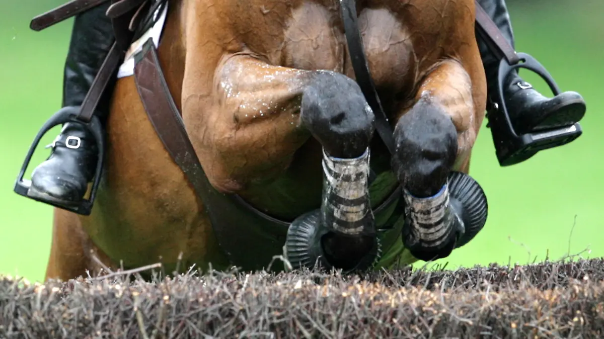 Ein Vielseitigkeitsreiter springt mit seinem Pferd am Samstag (26.08.2006) in Aachen während der Geländeprüfung der Pferdesport-WM über ein Hindernis. Foto: Federico Gambarini +++(c) dpa - Bildfunk+++