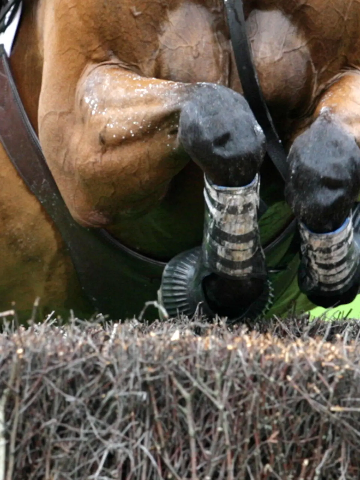 Ein Vielseitigkeitsreiter springt mit seinem Pferd am Samstag (26.08.2006) in Aachen während der Geländeprüfung der Pferdesport-WM über ein Hindernis. Foto: Federico Gambarini  +++(c) dpa - Bildfunk+++