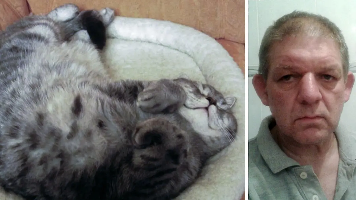 Für Peter Oppenheimer war er alles. Seit dem 13. September sucht er Tag und Nacht nach seinem Kater Oscar. Denn der kann nicht selbst nach Hause finden.