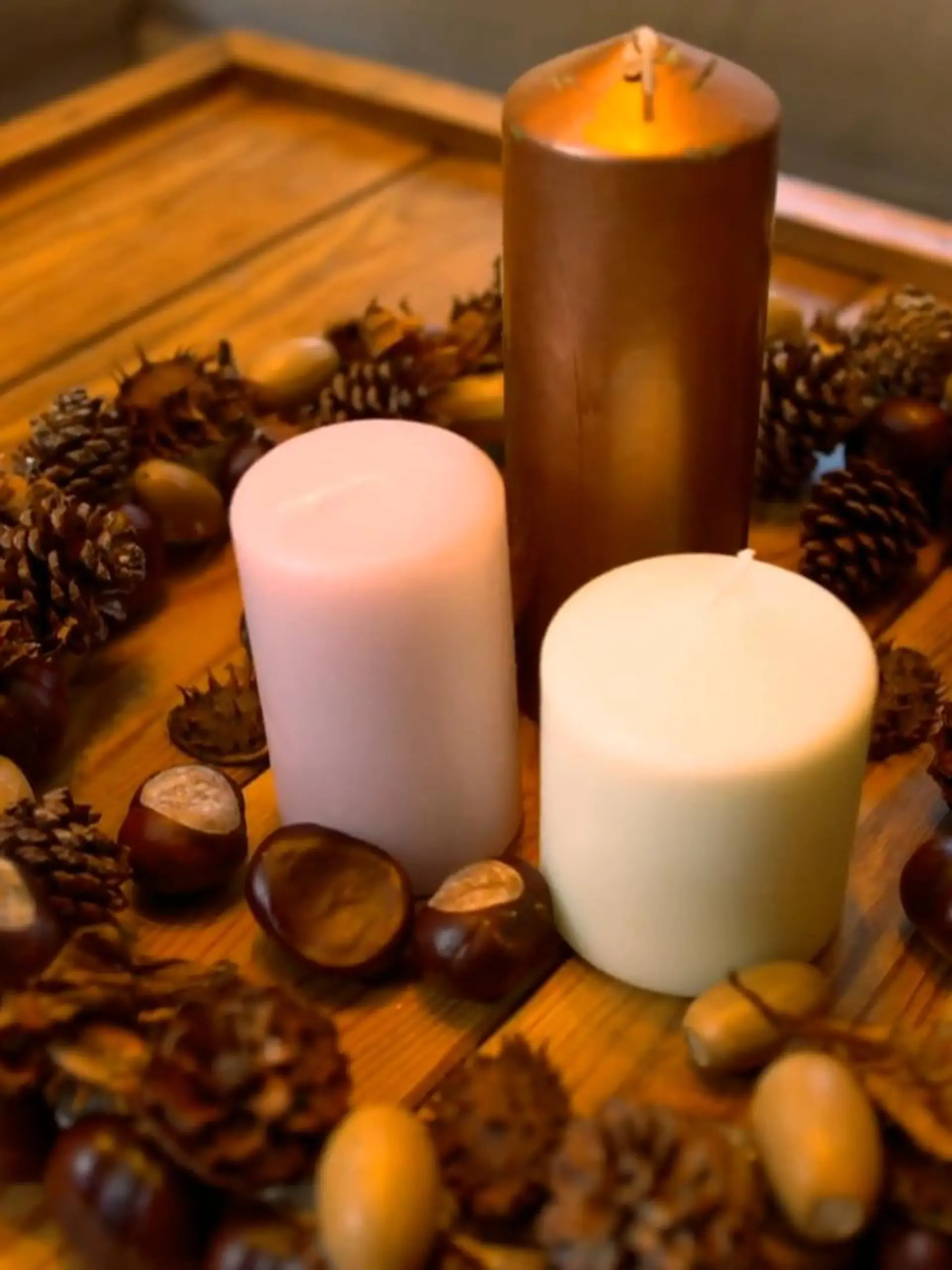 Wie fast keine andere Saison ist der Herbst die perfekte Zeit für DIY-Deko. Denn: Viele der benötigten Materialien findet man ganz nebenbei beim gemütlichen Waldspaziergang. Wie wäre es beispielsweise mit einem schicken Herbstkranz – als Wand- oder Tür-Dekoration? Im Video gibt's die Schritt-für-Schritt-Anleitung von Florist Stephan Winzer.