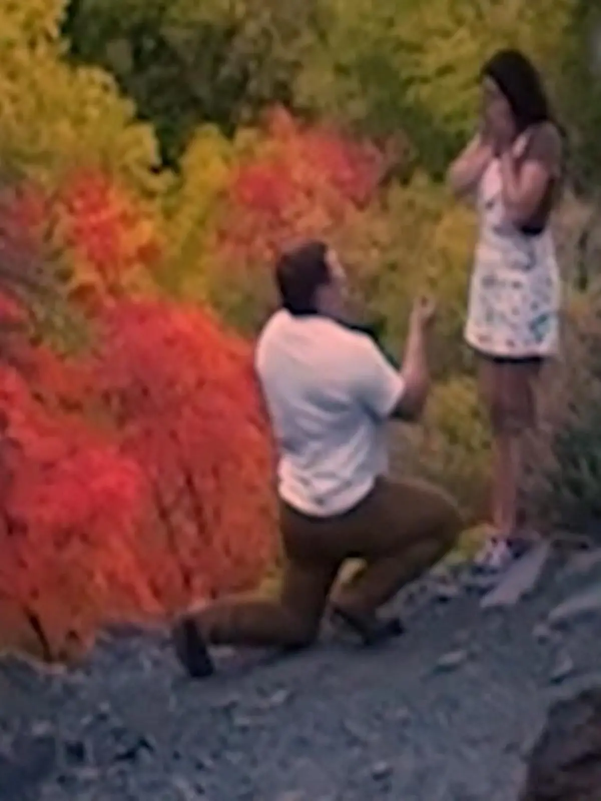 Ein Fotograf macht in Utah (USA) zufällig rührende Aufnahmen aus der Luft. Denn per Drohne wird er Zeuge von einem Heiratsantrag im idyllischen Big Cottonwood Canyon.