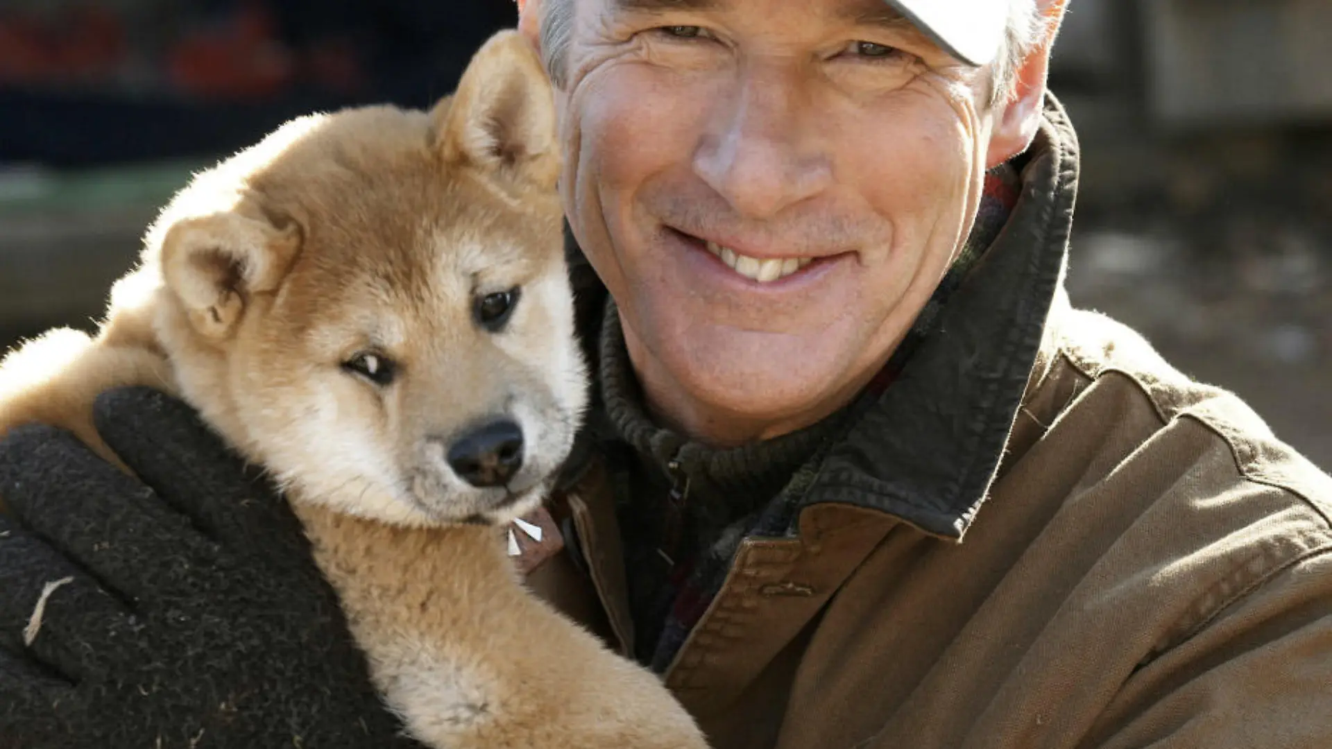 Szene aus dem Film «Hachiko - Eine wunderbare Freundschaft»: Professor Parker Wilson (Richard Gere) und sein Hund Hachiko (Handout). Die Story von Lasse Halströms neuem Streifen «Hachiko - Eine wunderbare Freundschaft» scheint schnell erzählt. Irgendwo in einem entlegenen, japanischen Kloster nimmt ein Mönch Abschied von seinem kleinen Akita-Welpen. Er packt ihn in eine robuste Holzkiste und schickt ihn auf die Reise. Wohin es gehen soll, wird man nie erfahren, denn nach Tagen im Gepäck fällt die Kiste mit dem goldigen Hunde-Baby beim Umladen auf einem kleinen US-Bahnhof vom Koffer-Wagen. Der Anhänger mit der Adresse des Empfängers reißt ab. Der Welpe bleibt verlassen auf dem winterlichen Bahnhof zurück bis Richard Gere in der Rolle des Musikprofessors Parker Wilson ihn nach kurzem Zögern mit nach Hause nimmt. Hund und Mann haben sich gefunden, eine «wunderbare Freundschaft» kann beginnen. Foto: Prokino Filmverleih GmbH ACHTUNG Nur für die redaktionelle Berichterstattung über diesen Film unter Nennung des Urhebers. (zu dpa-Korr "«Hachiko» - Lasse Halströms Hundefilm über das Leben " vom 08.11.2009) +++(c) dpa - Bildfunk+++
