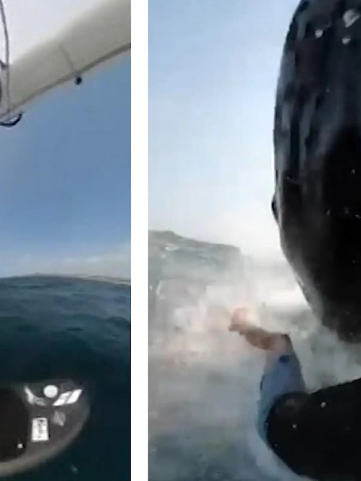 Als Jason Breen an der Küste von Mona Vale in Australien windsurfen geht, wird er von einem Wal umgehauen. Seine Go-Pro-Kamera zeichnet alles auf - im Video.