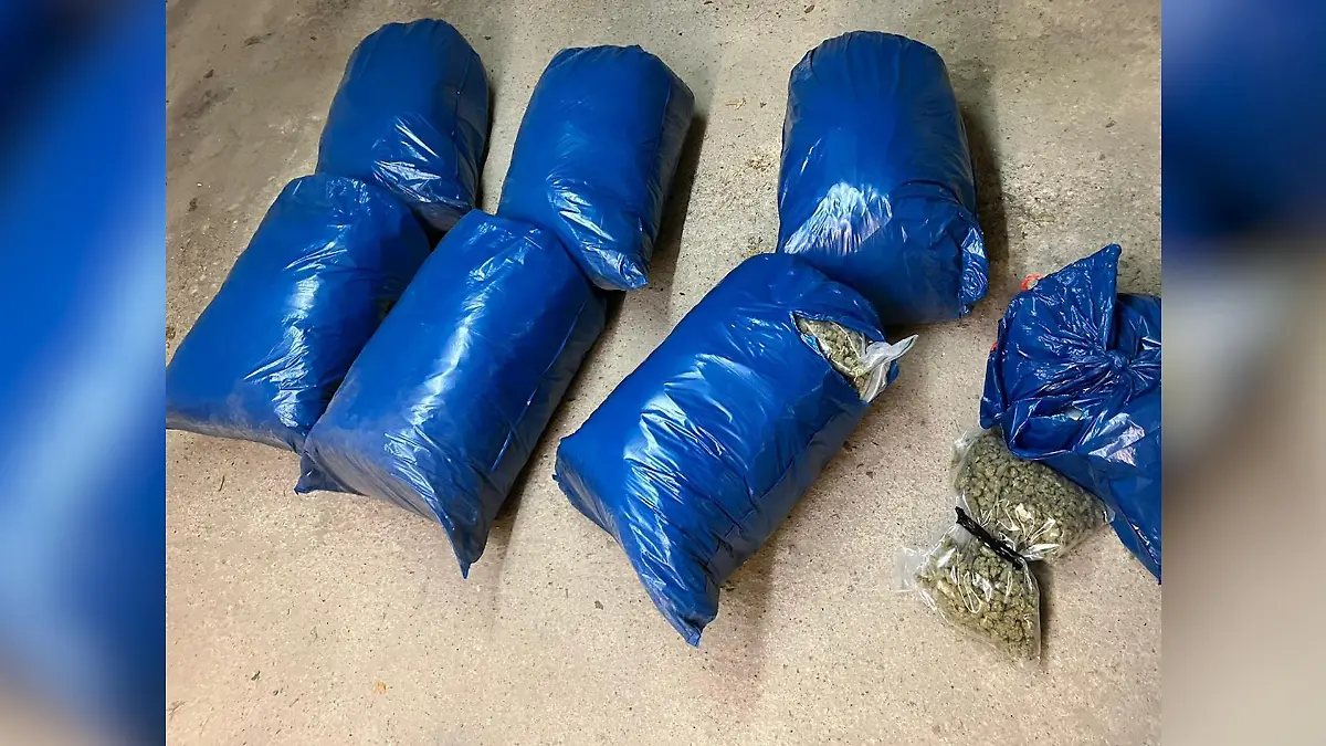 Die Ermittler stellen unzählige Säcke mit Cannabis sicher.