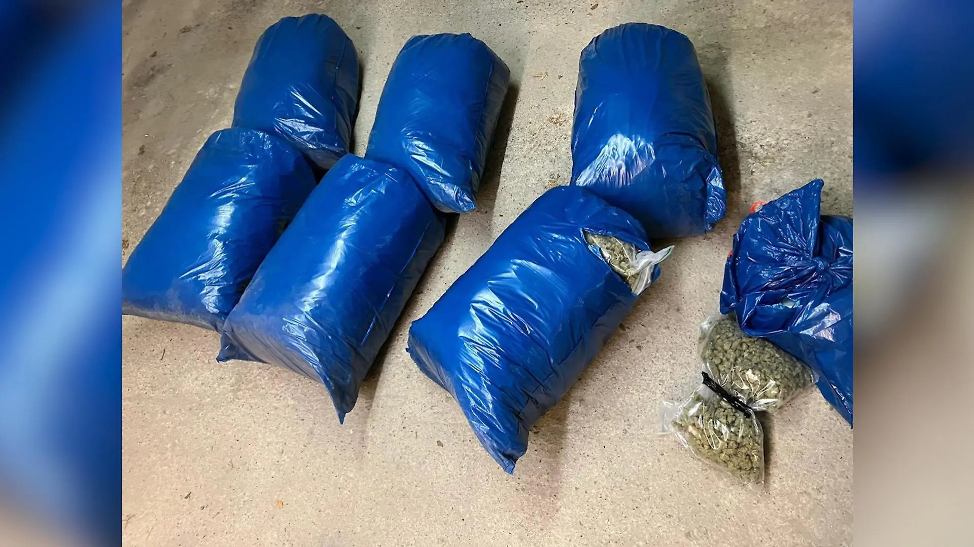 Die Ermittler stellen unzählige Säcke mit Cannabis sicher.