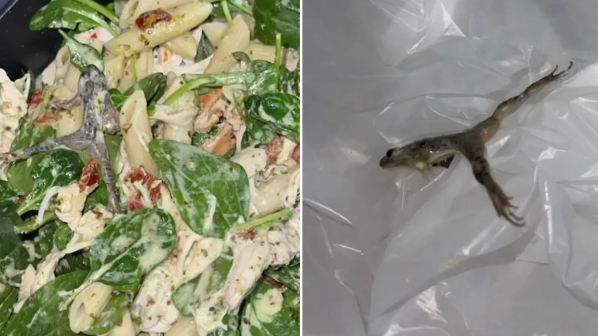 Collage von Frosch im Essen und Frosch close