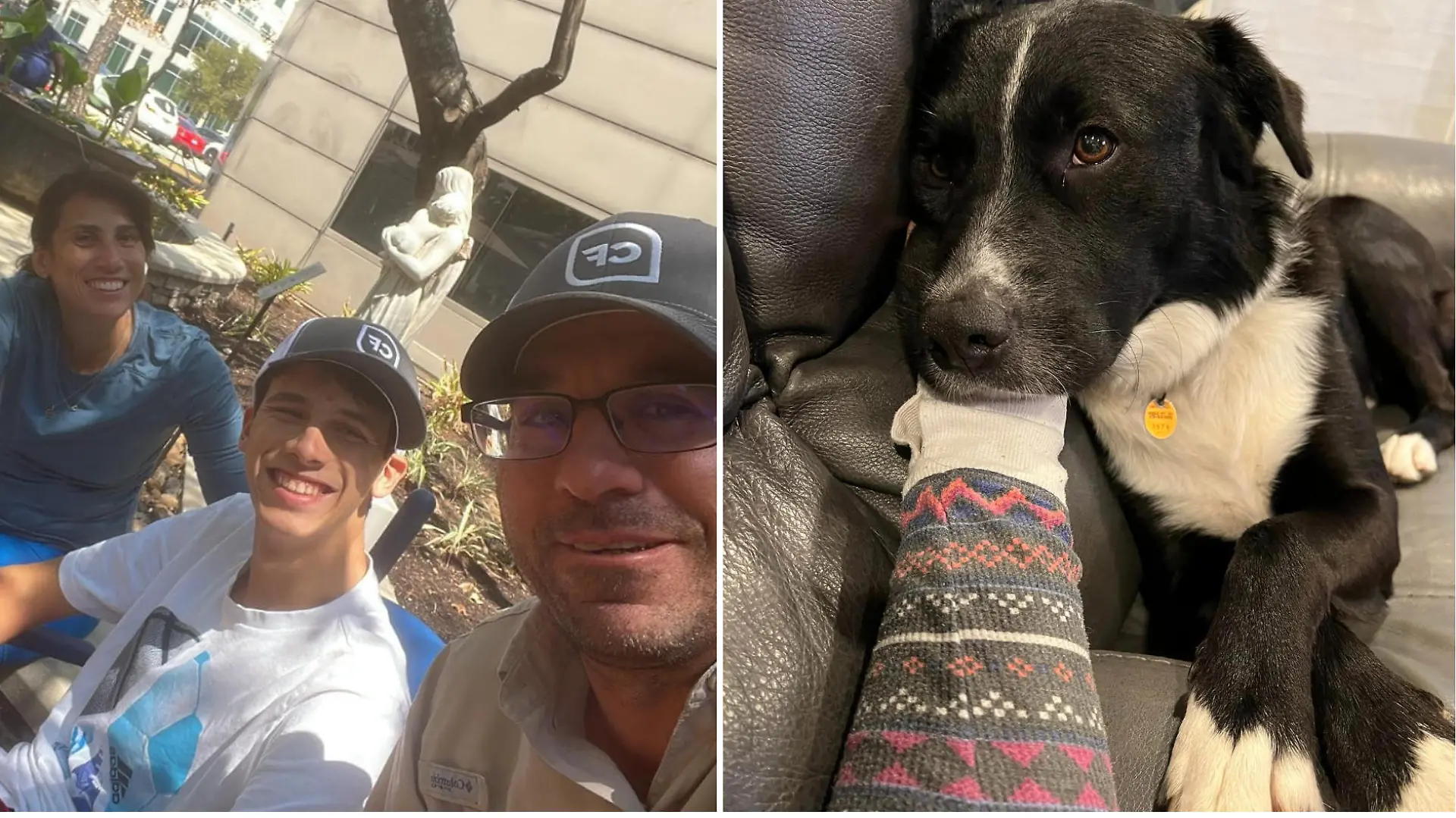 Collage Ehepaar Tanner und Hund Axel