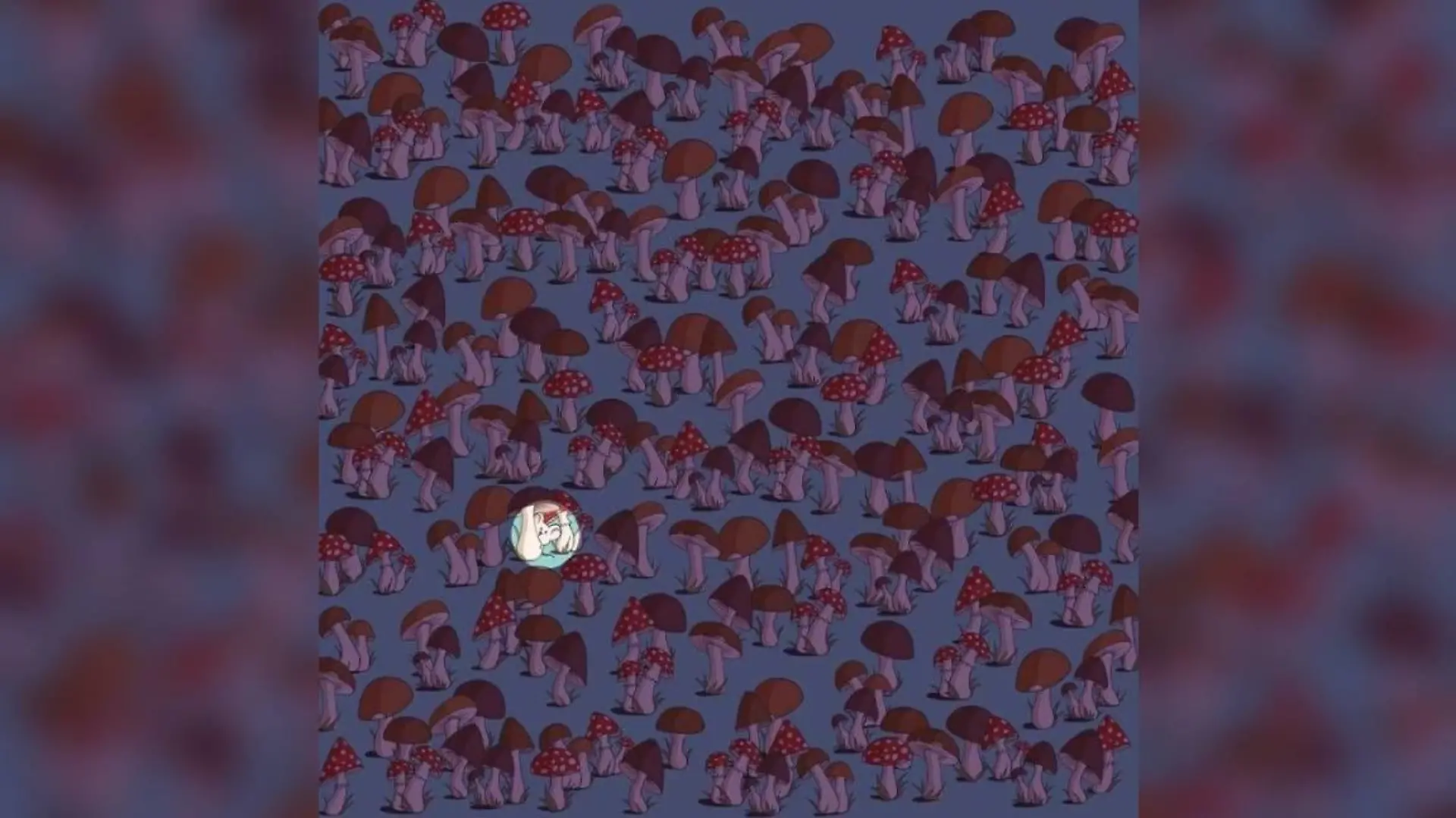 Auflösung Suchbild Maus Pilze