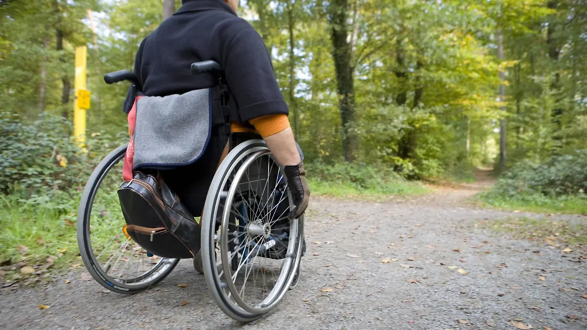 Frau mittleren Alters beim Waldspaziergang im Rollstuhl, deu_tschla | woman in a wheelchair on a forest path, deu_tschla