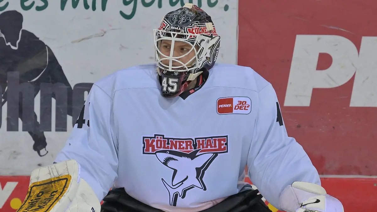 Torwart Tobias Ancicka Koelner Haie 45, Fischtown Pinguins - Koelner Haie , Eishockey, Deutsche Eishockey Liga, DEL, 08.10.2023 Bremerhaven Bremen Deutschland *** Goalie Tobias Ancicka Koelner Haie 45 , Fischtown Pinguins Koelner Haie , Ice Hockey, German Ice Hockey League, DEL, 08 10 2023 Bremerhaven Bremen Germany Copyright: xkolbert-press/BurghardxSchreyerx