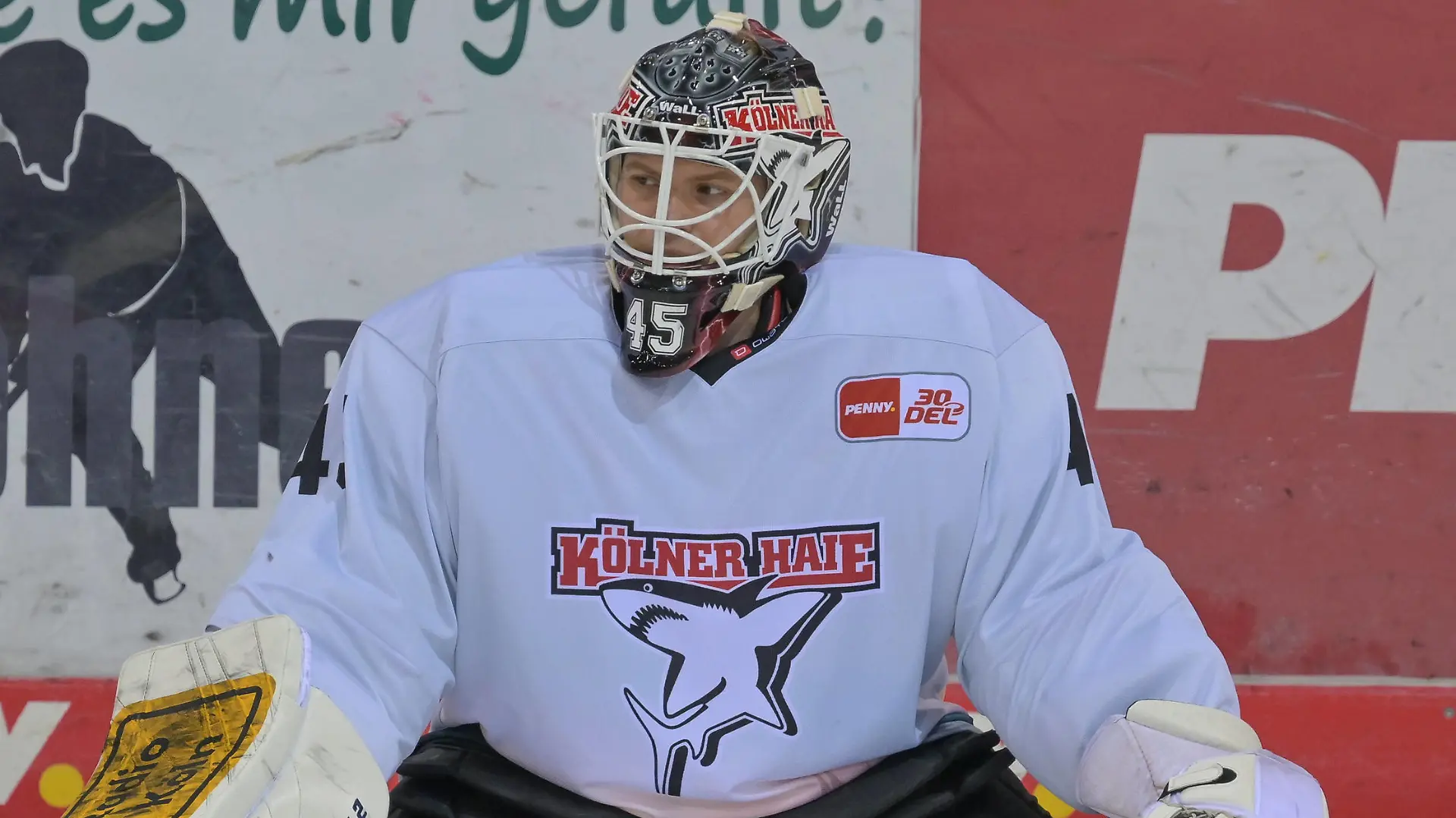Torwart Tobias Ancicka Koelner Haie 45, Fischtown Pinguins - Koelner Haie , Eishockey, Deutsche Eishockey Liga, DEL, 08.10.2023 Bremerhaven Bremen Deutschland *** Goalie Tobias Ancicka Koelner Haie 45 , Fischtown Pinguins Koelner Haie , Ice Hockey, German Ice Hockey League, DEL, 08 10 2023 Bremerhaven Bremen Germany Copyright: xkolbert-press/BurghardxSchreyerx