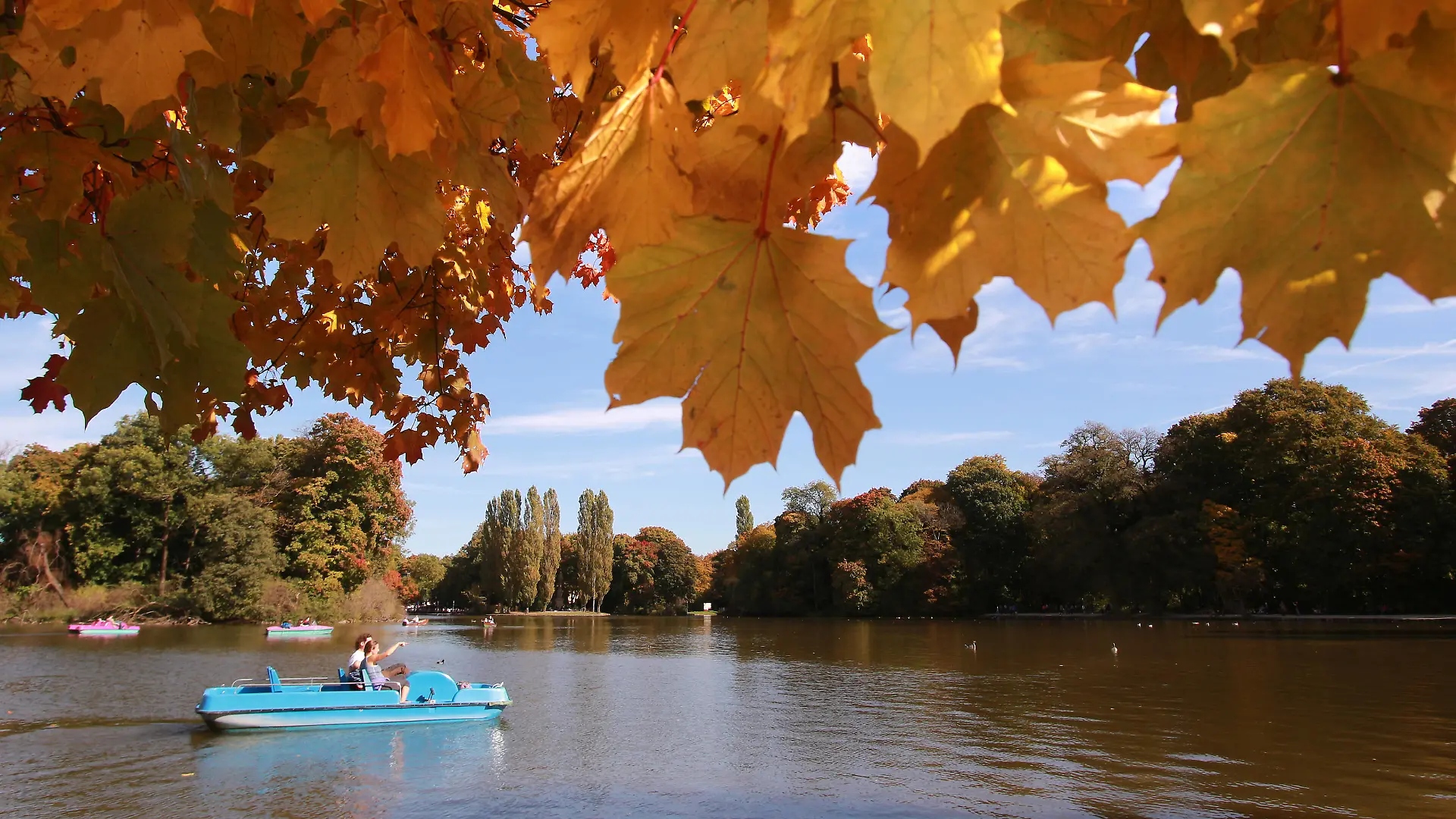 Goldener Oktober mit sommerlich warmen Temperaturen im Park Englischer Garten in München, Bayern, Deutschland: Personen in einem Boot auf dem Kleinhesseloher See und herbstlich gefärbte Ahornblätter. Golden October with warm summer temperatures in the park Englischer Garten in Munich, Bavaria, Germany Persons in a boat on the Kleinhesseloher See and autumnally coloured maple leaves