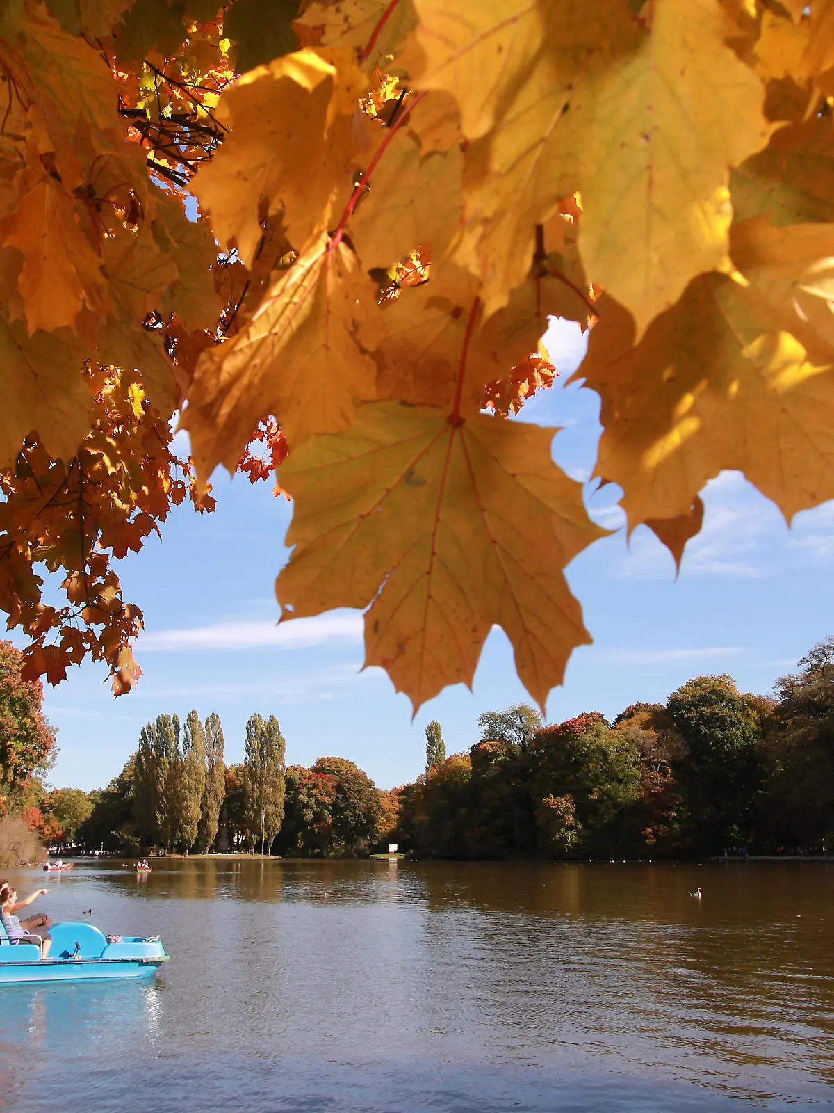 Goldener Oktober mit sommerlich warmen Temperaturen im Park Englischer Garten in München, Bayern, Deutschland: Personen in einem Boot auf dem Kleinhesseloher See und herbstlich gefärbte Ahornblätter.  Golden October with warm summer temperatures in the park Englischer Garten in Munich, Bavaria, Germany Persons in a boat on the Kleinhesseloher See and autumnally coloured maple leaves 