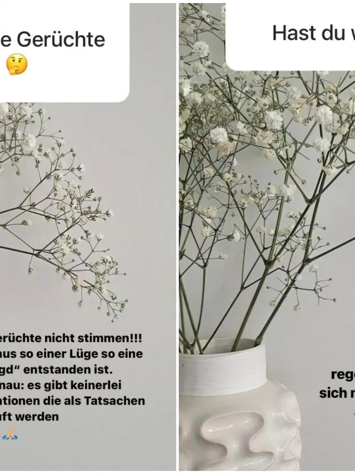Amira Pochers On-Off-Freundin Evi meldet sich bei Instagram zu Wort.