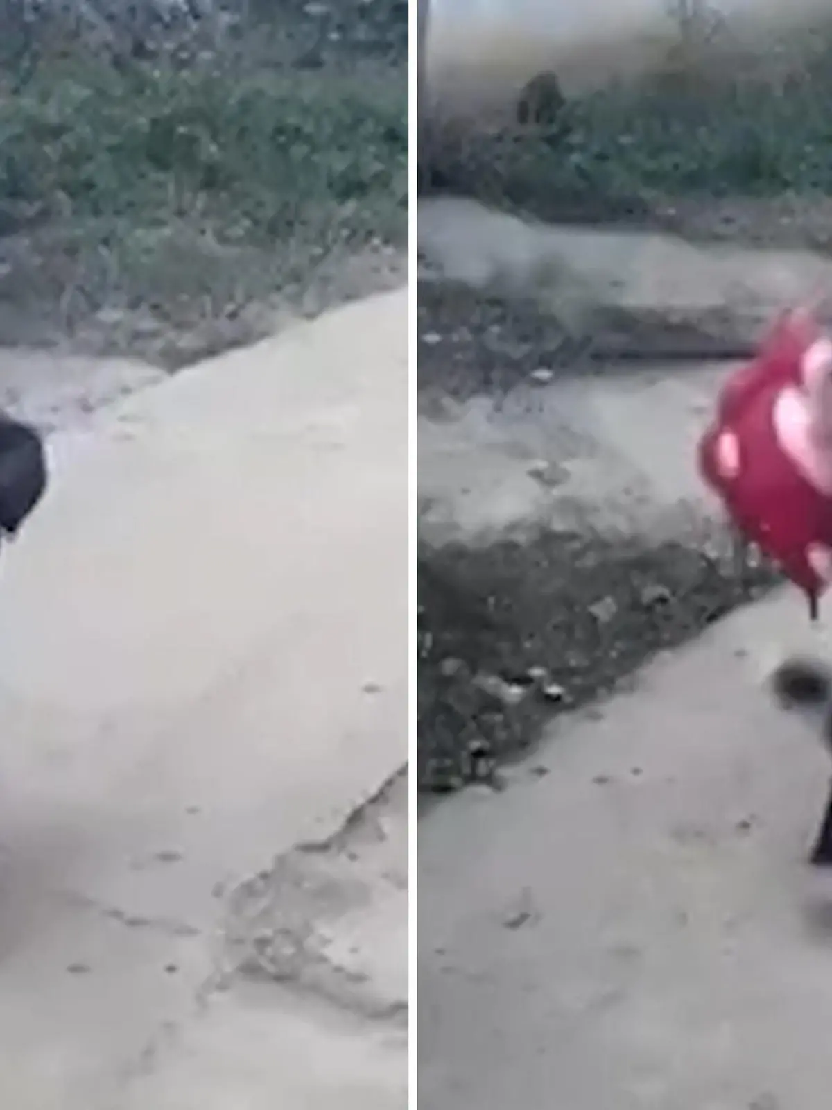 In China zeigt eine Mutter eine unglaubliche Reaktion. Als ihr Baby aus dem Kinderwagen fällt, packt sie blitzschnell zu und verhindert so Schlimmeres.