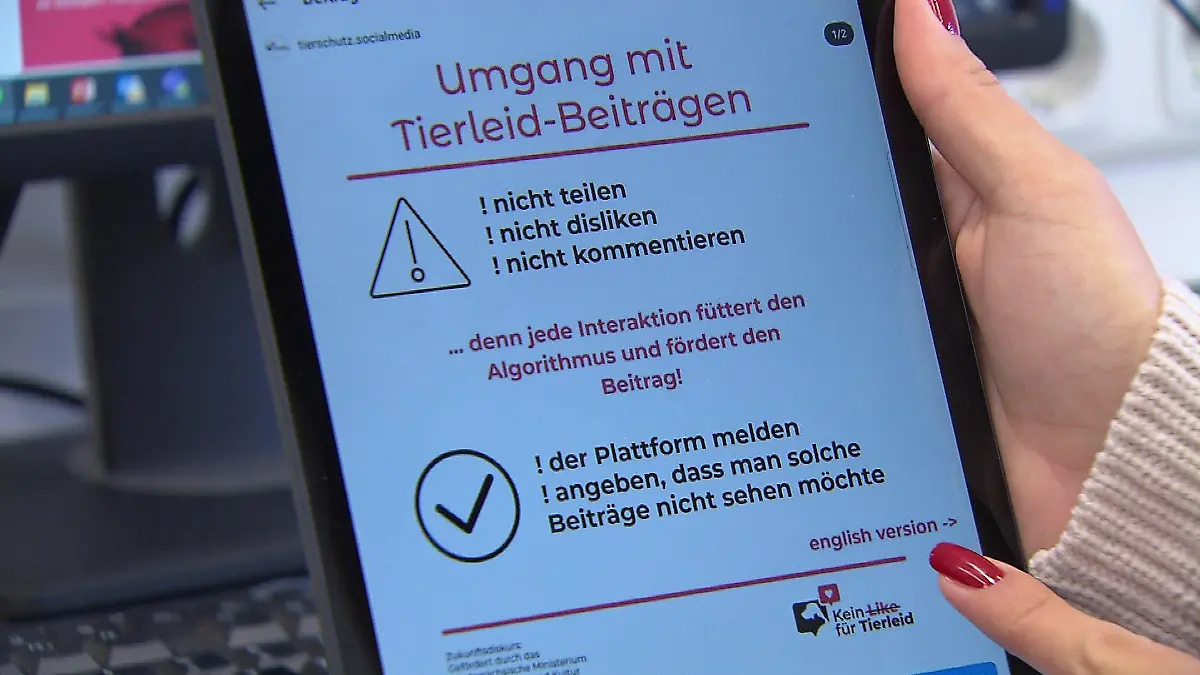Die Forscher an der Tierärztlichen Hochschule informieren in den Sozialen Medien, wie User Tierleid erkennen können.