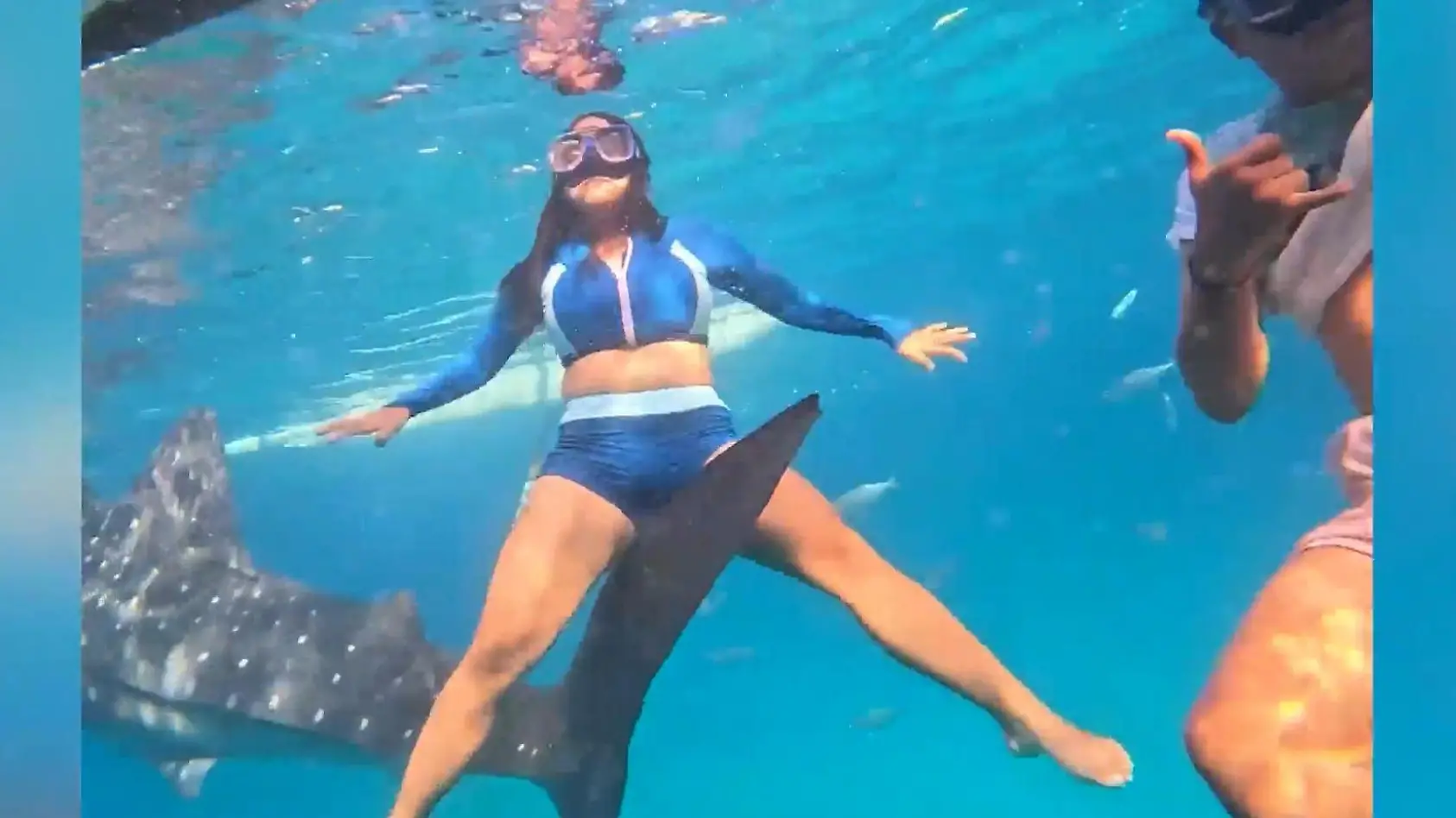 Hai trifft Taucherin im Intimbereich