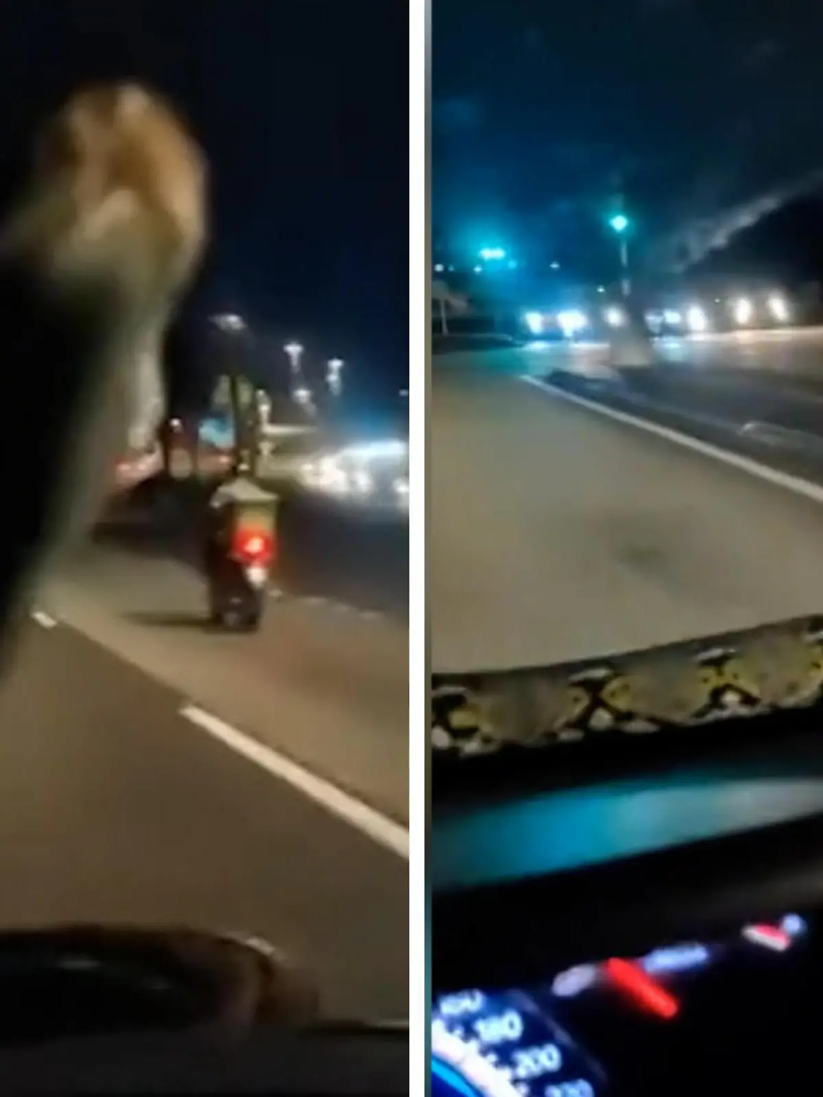 Es ist eine Horrorvorstellung für viele Autofahrer. Doch einem Mann in Malaysia passiert genau das! Er fährt nichtsahnend auf der Straße, als er plötzlich den riesigen blinden Passagier bemerkt. Wie er reagiert und ob das Tier die Fahrt überlebt, sehen Sie im Video.