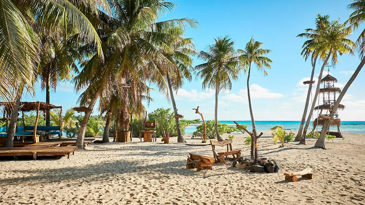 Verstärkung im Paradies