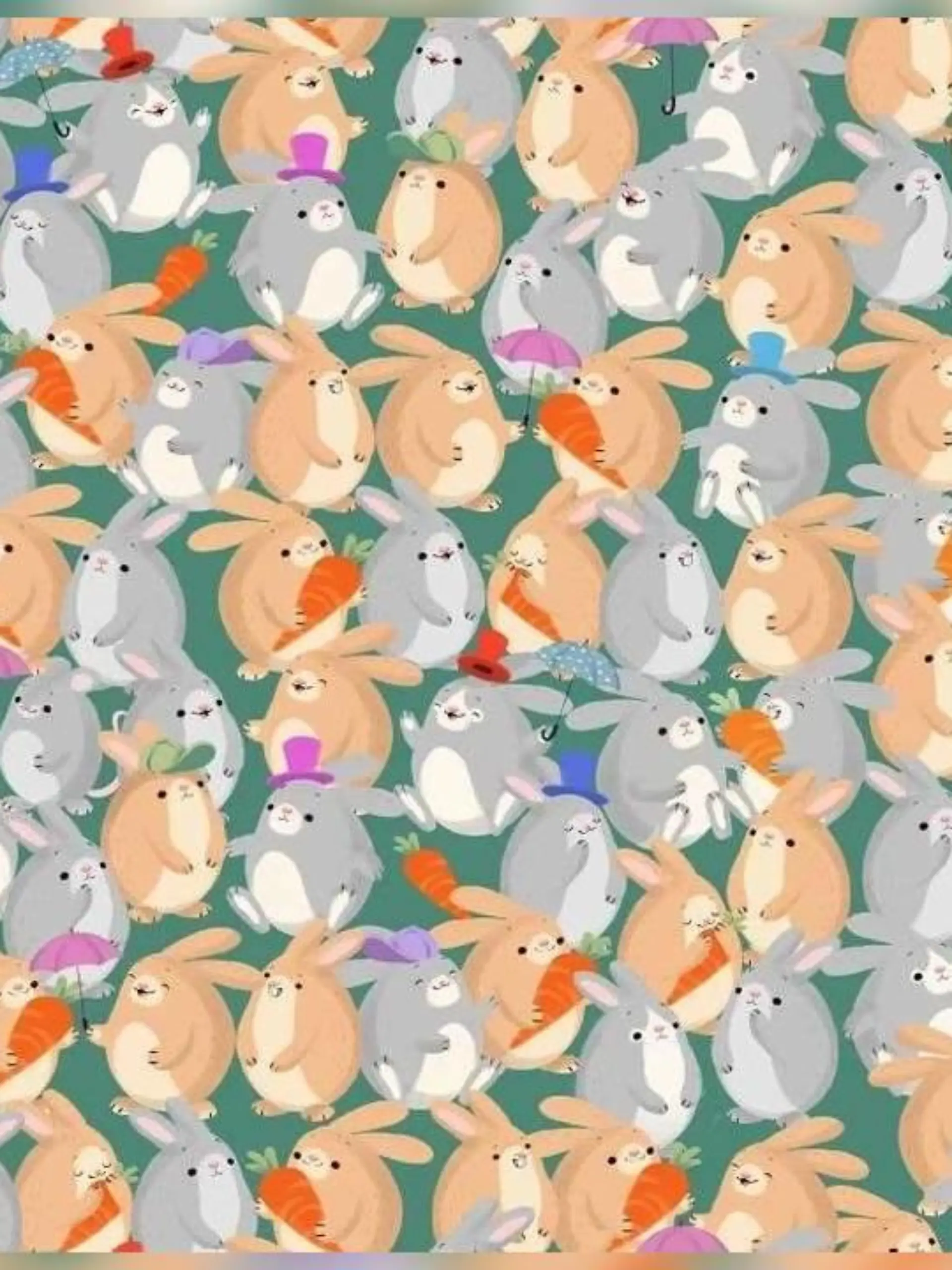 Suchbild: Finden Sie das graue Mäuschen unter den Hasen?