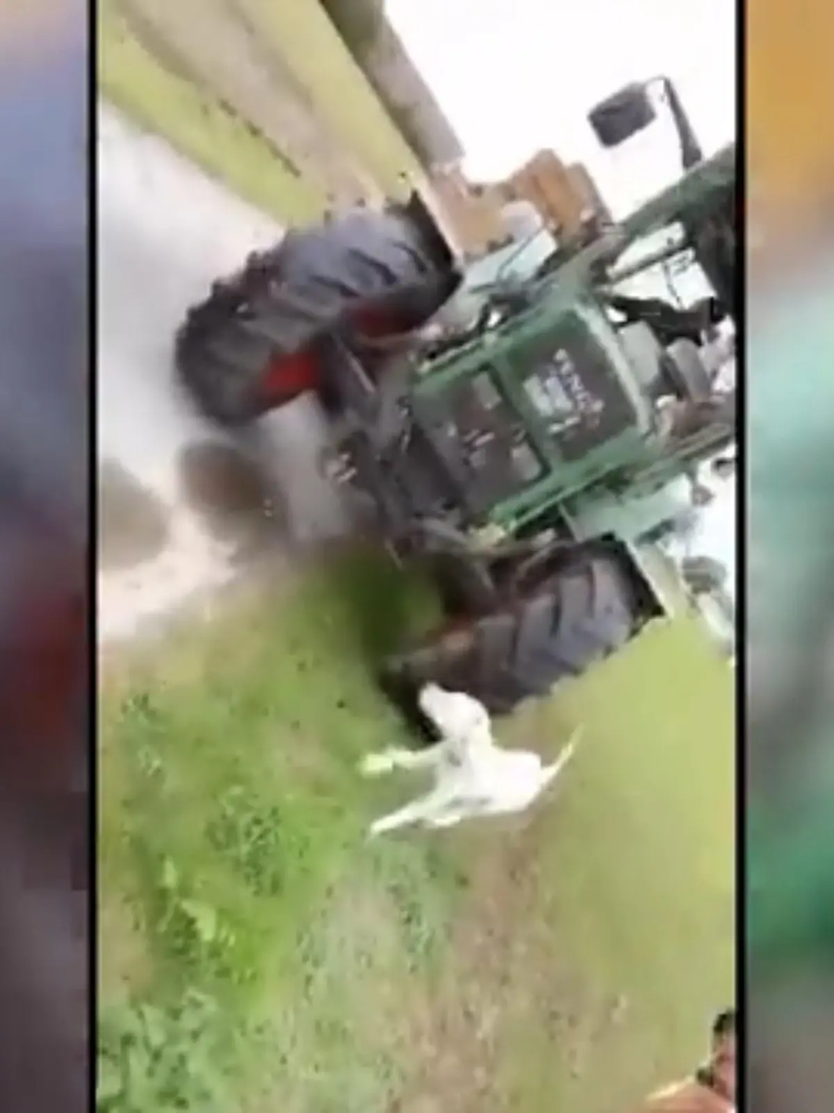 Es ist das brutale Ende eines Nachbarschaftsstreits: Ein Bauer überfährt mit seinem Trecker den Hund seines Widersachers – offenbar mit voller Absicht. Hundebesitzer Tadeo Falcao-Böcker filmt (27) den Tod seines Dalmatiners mit dem Handy. Im Gespräch mit RTL schildert er, wie die Auseinandersetzung begann.