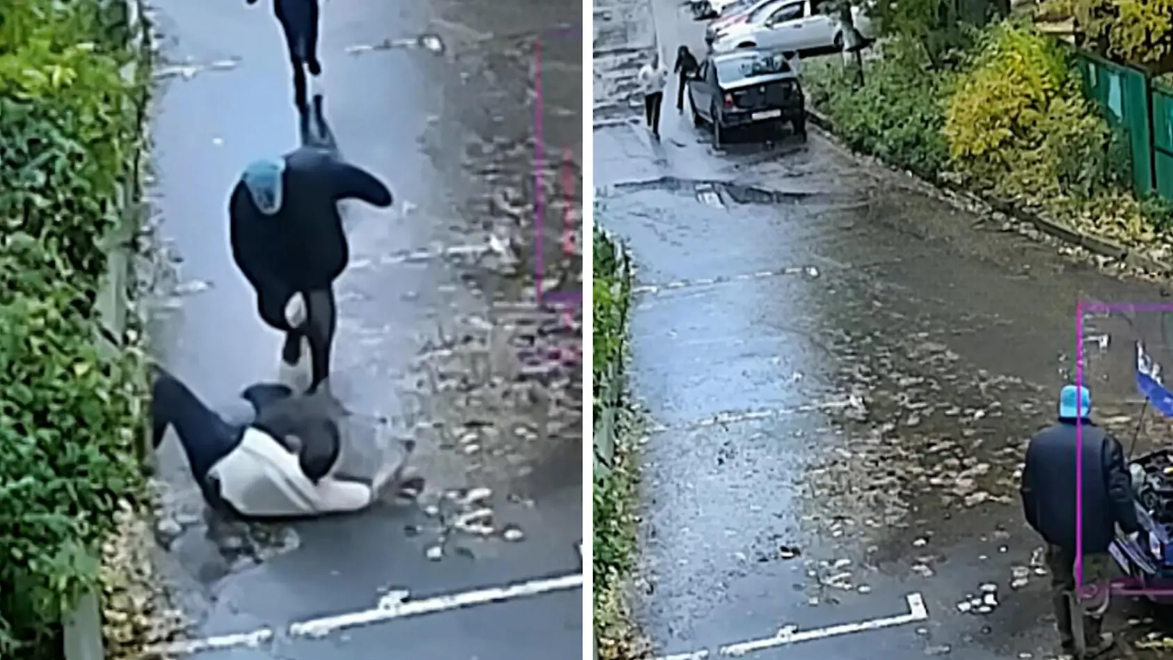 Rentner wird zum Held und stoppt Dieb!