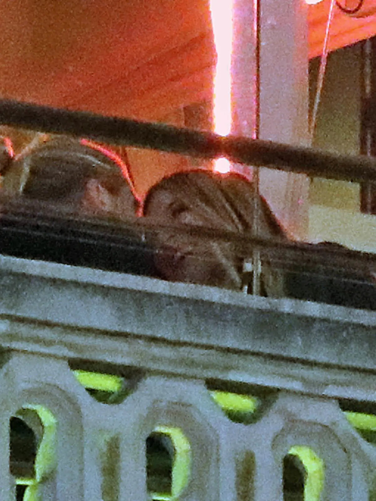 EXCLUSIVE: Loris Karius and Diletta Leotta seen strolling in town in Milan, then having lunch at Terrazza Duomo 21, and finaly getting to Diletta's place. 25 Oct 2022 Pictured: Loris Karius, Diletta Leotta. Photo credit: MEGA TheMegaAgency.com +1 888 505 6342 (Mega Agency TagID: MEGA913557_001.jpg) [Photo via Mega Agency]