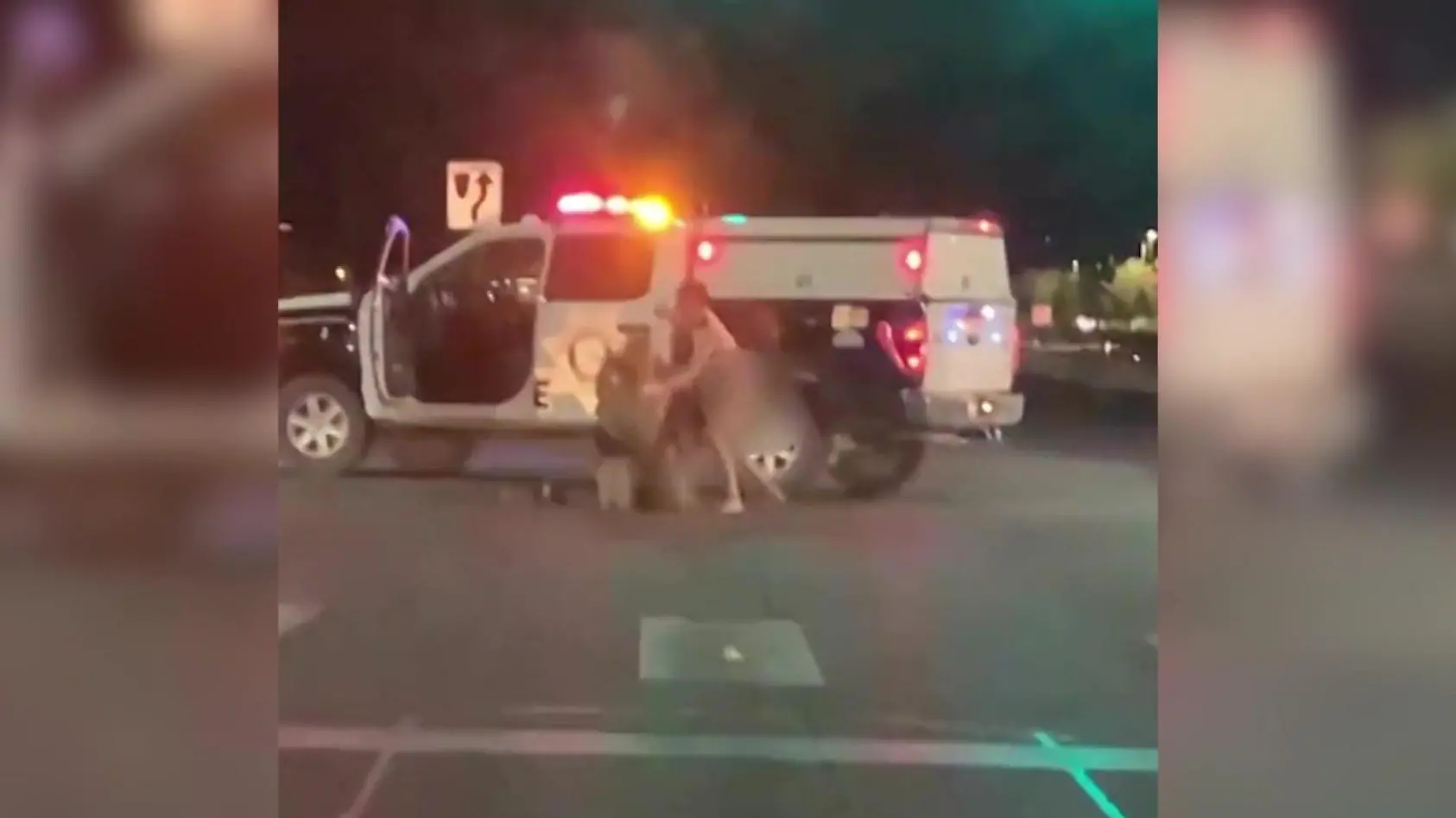 Nackter Mann klaut Polizeiwagen!