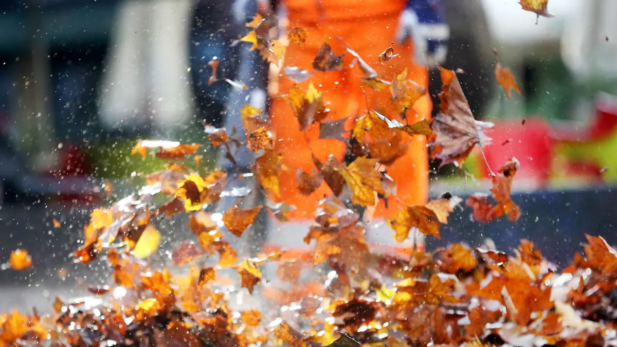 ARCHIV - 21.10.2019, Nordrhein-Westfalen, Essen: Das Herbstlaub wird mit einem Laubbläser durch die Luft gewirbelt. In Rheinland-Pfalz bereiten sich Kommunen vielerorts schon auf den Winter vor. (zu dpa: «Laub, Salz, Obdachlosen-Hilfe: Kommunen rüsten sich für Winter») Foto: Roland Weihrauch/dpa +++ dpa-Bildfunk +++