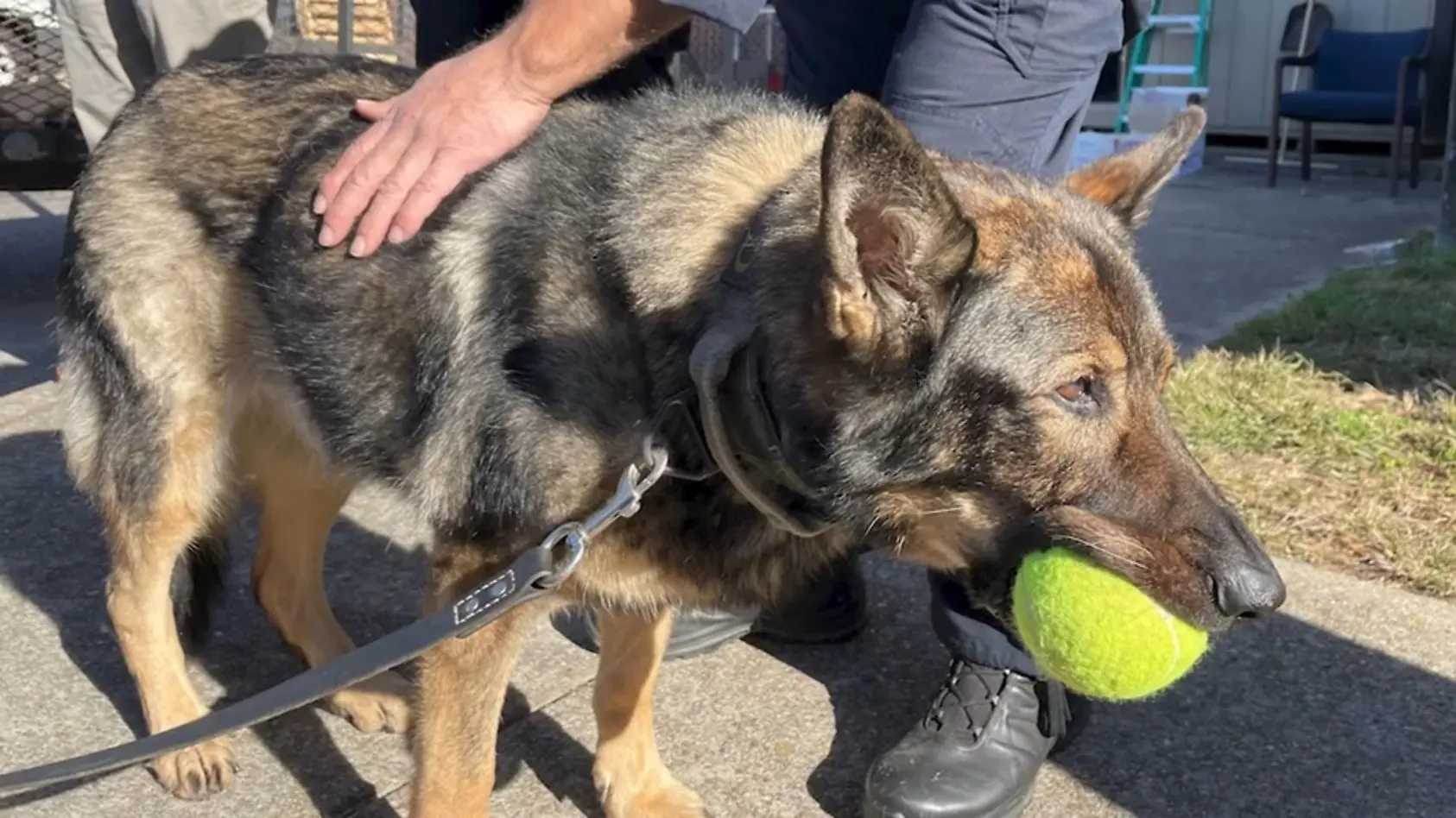Wache verabschiedet Polizei-Hündin
