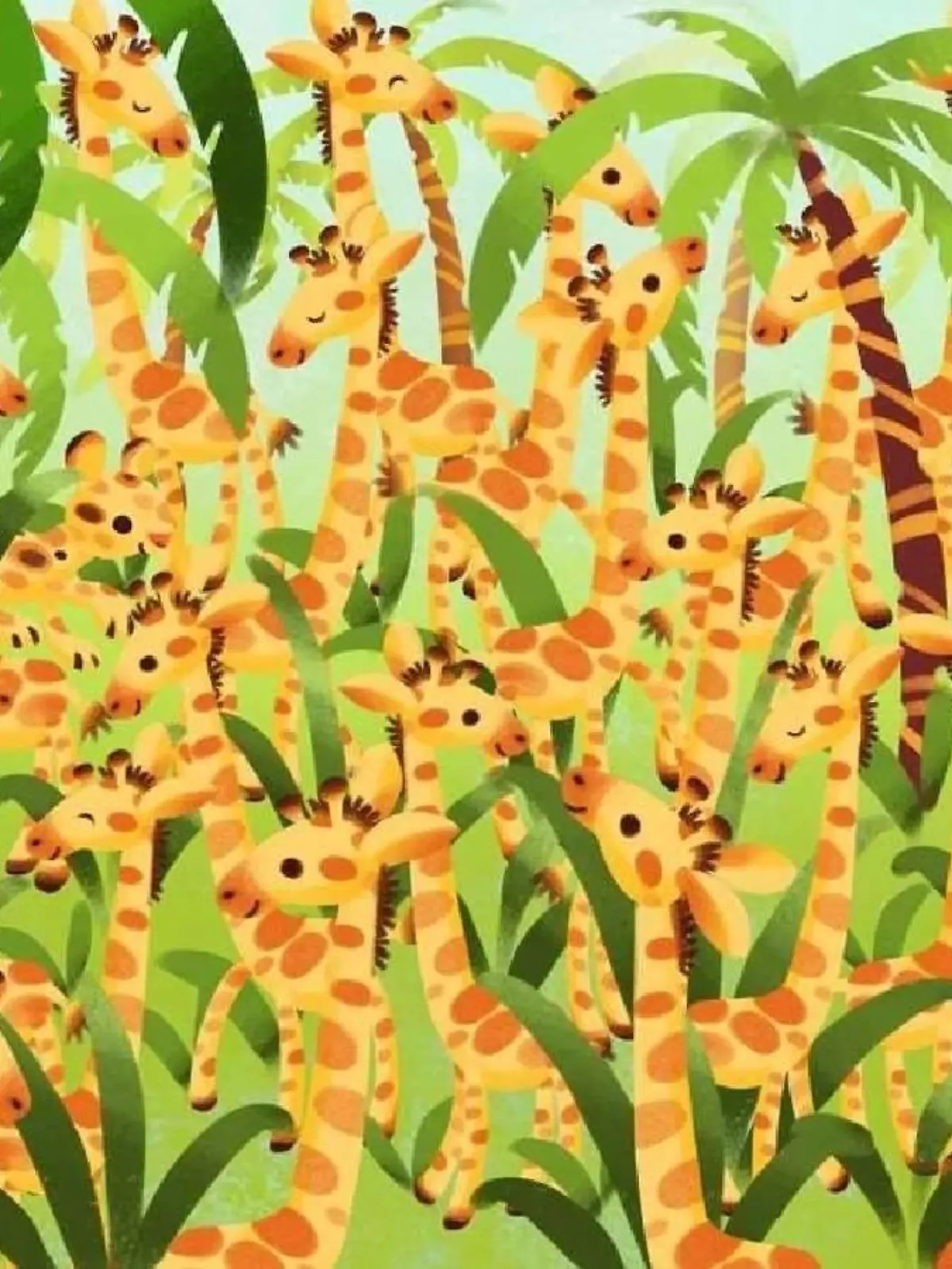 Suchbild
