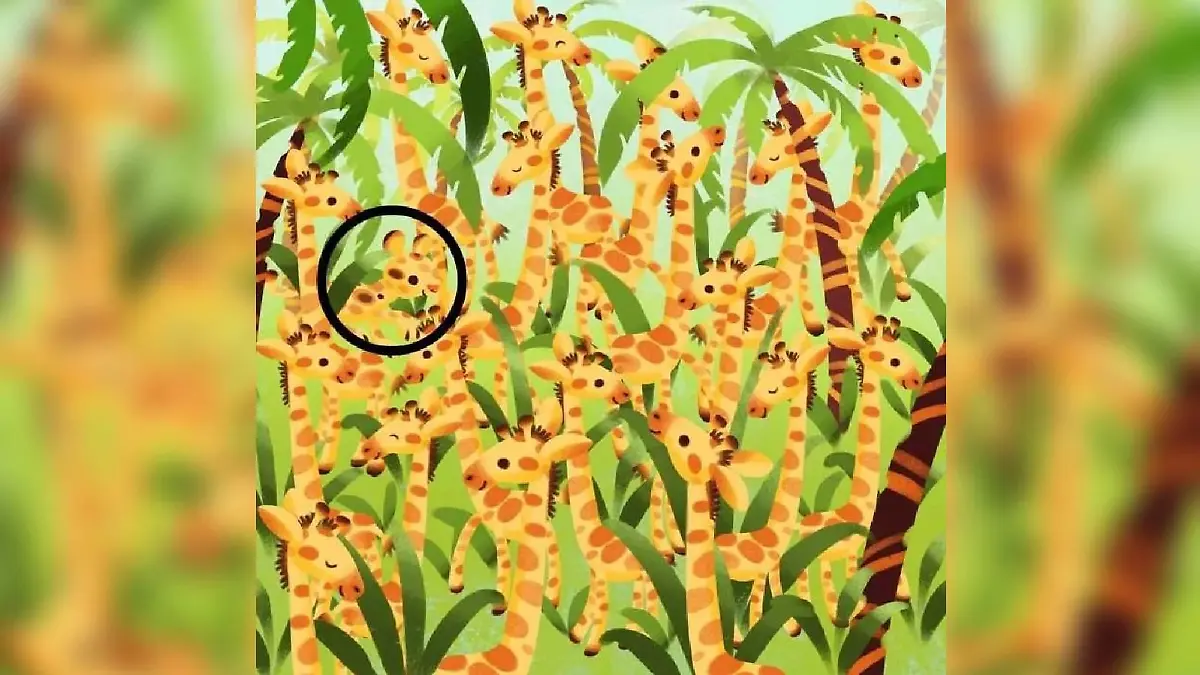 Suchbild Auflösung