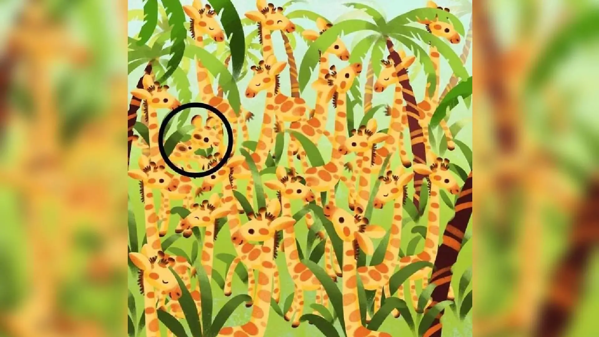 Suchbild Auflösung