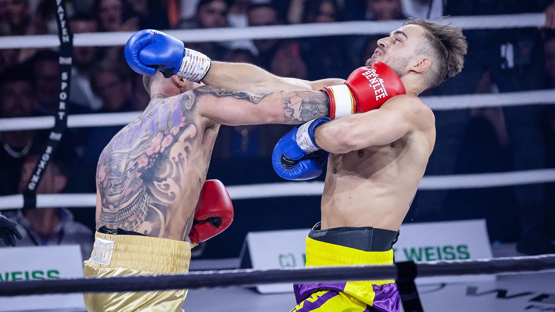FAME FIGHTING 2023 - Boxevent mit Influencern und Reality-Stars Can Kaplan geht nach einem harten Treffer von Luigi Gigi Birofio noch in Runde 1 zu Boden - Zahlreiche Reality-Stars und Influencer duellieren sich beim ersten Fame Fighting im Bonner Maritim Hotel im Ring. Vielen Kämpfen gingen offen ausgetragene Streitigkeiten voraus. Organisiert wird der Abend von Eugen Lopez. Bonn Maritim Hotel NRW Deutschland *** FAME FIGHTING 2023 Boxing event with influencers and reality stars Can Kaplan goes down in round 1 after a hard hit from Luigi Gigi Birofio Numerous reality stars and influencers duel in the ring at the first Fame Fighting at the Maritim Hotel in Bonn Many fights were preceded by open disputes The evening is organized by Eugen Copyright: xBEAUTIFULxSPORTS/Derixx