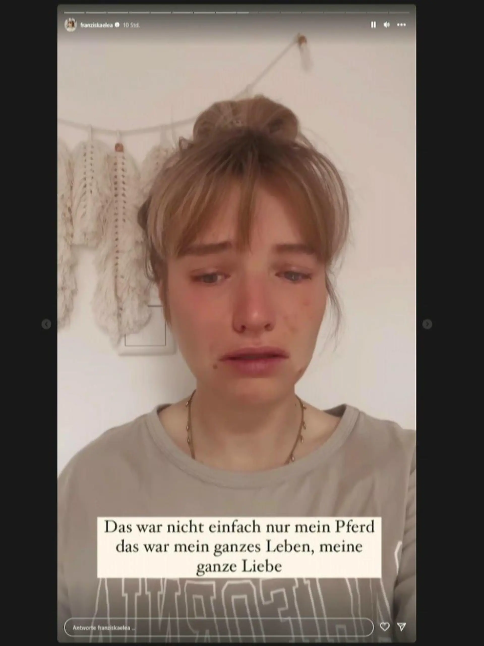 TikTokerin trauert um Pferd - es lief beim Fotoshooting weg und wurde vom Zug erwischt.