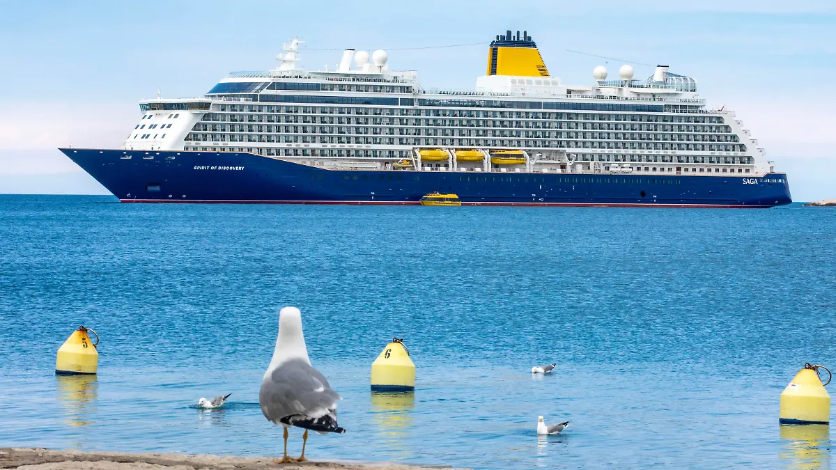 Spirit of Discovery Cruiser sails by Rovinj harbor as sea gull rest on boardwalk in Rovinj, Croatia on April 20, 2023. Photo: Srecko Niketic/PIXSELL