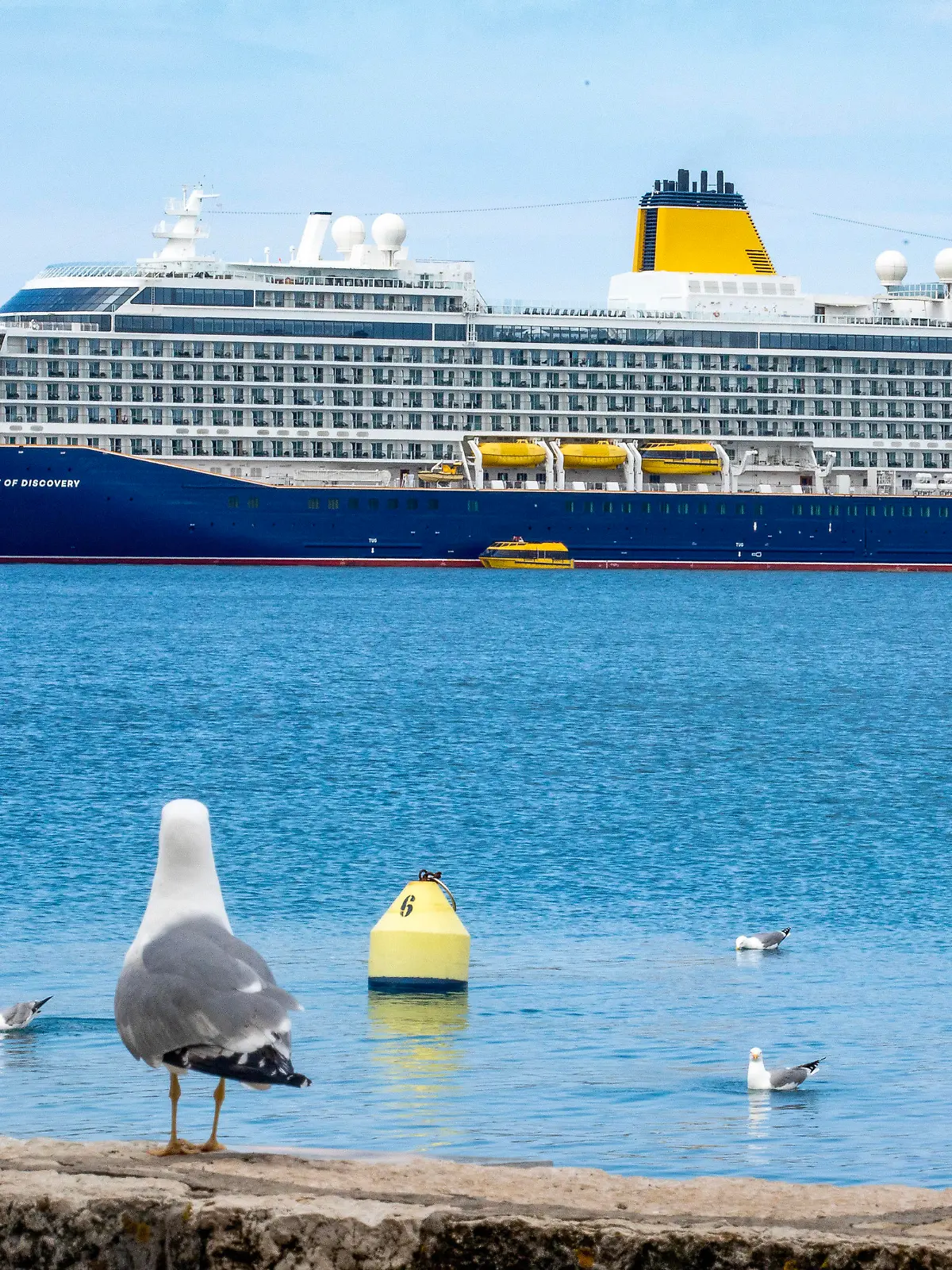 Spirit of Discovery Cruiser sails by Rovinj harbor as sea gull rest on boardwalk in Rovinj, Croatia on April 20, 2023. Photo: Srecko Niketic/PIXSELL