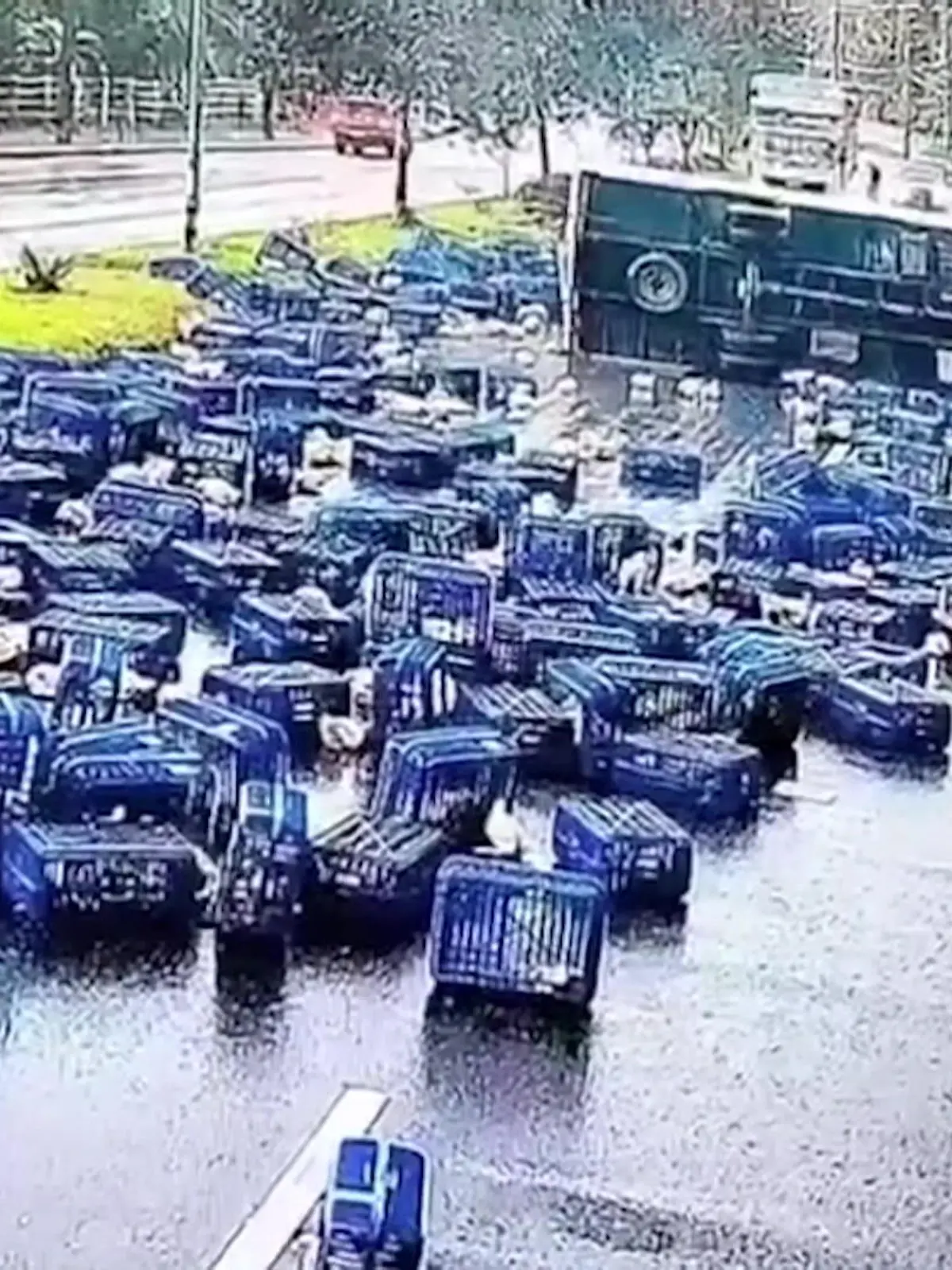 In Thailand kommt ein LKW in einer Kurve ins Schleudern und verliert seine gesamte Ladung. Die war jedoch lebendig! Den spektakulären Crash zeigen wir im Video.