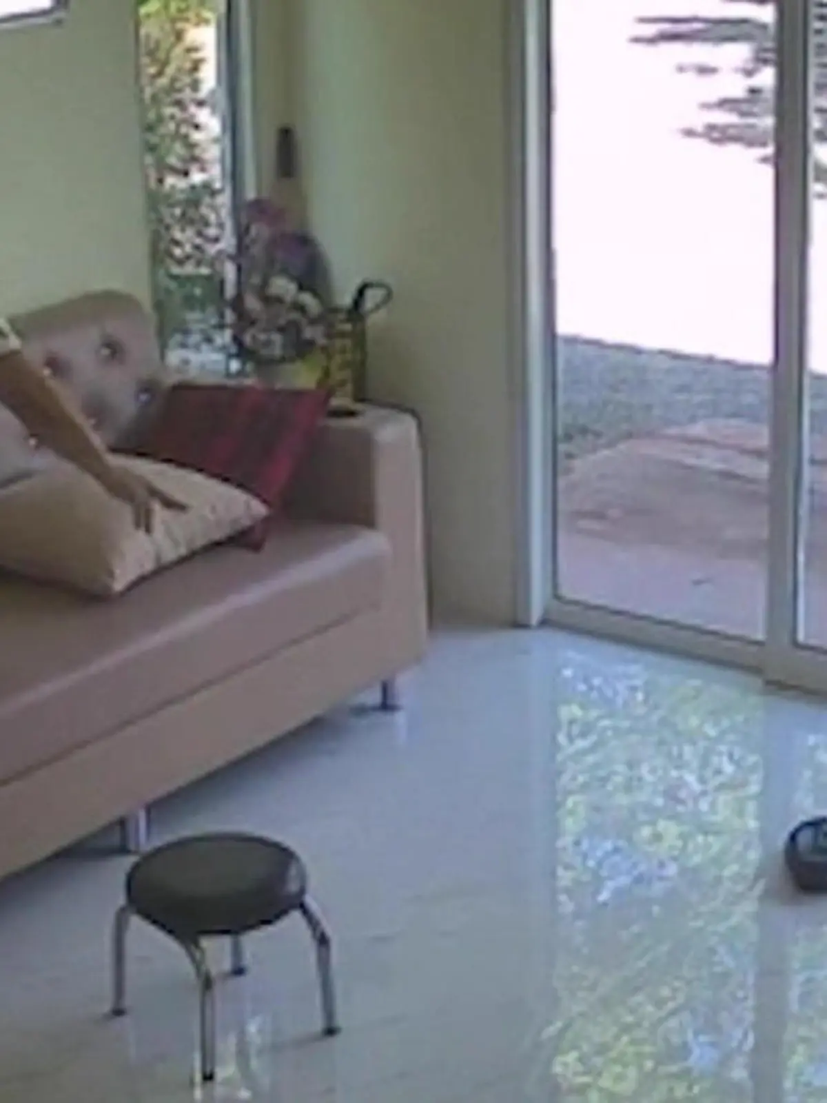 Diese Kosmetikerin in Thailand bekommt den Schock ihres Lebens, als sich eine Kobra in ihren Beauty-Salon schlängelt. Die Frau flüchtet und holt IHN zu Hilfe. Damit hat die Schlange wohl nicht gerechnet!