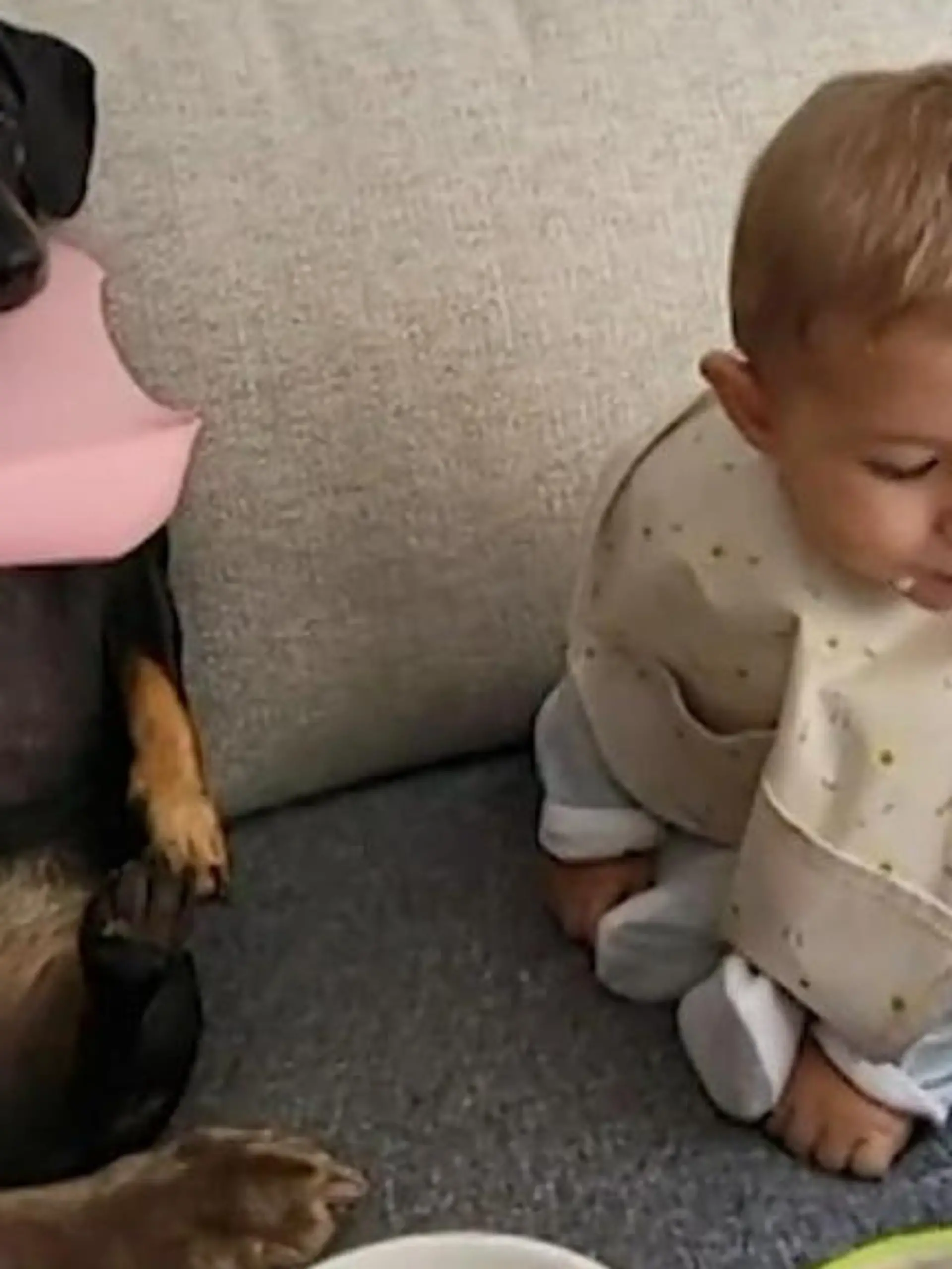 Erst ein Löffel für das Baby, dann für die beiden Hunde - nach diesem Prinzip wird hier jeder satt.