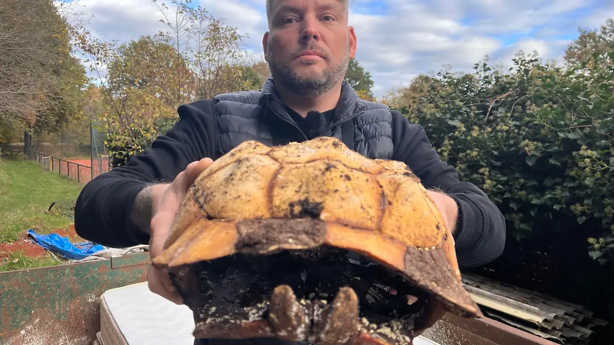 Stefan Klippstein findet am Sonnabend (4. November) in Hamburg-Schnelsen diese Spornschildkröte in einem Müllcontainer.