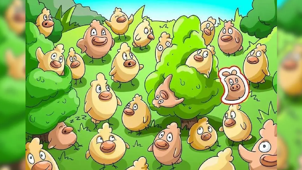 Die Lösung: Hier versteckt sich das Schwein zwischen den Küken.