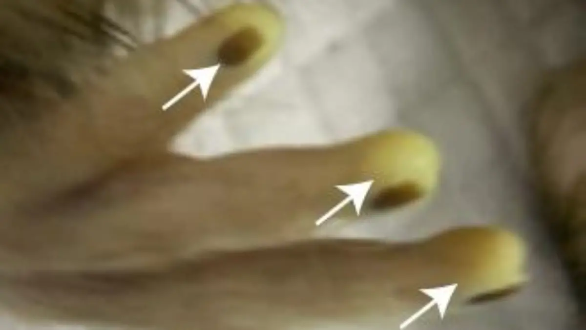 epi 216037097   Screenshot 2023-11-1