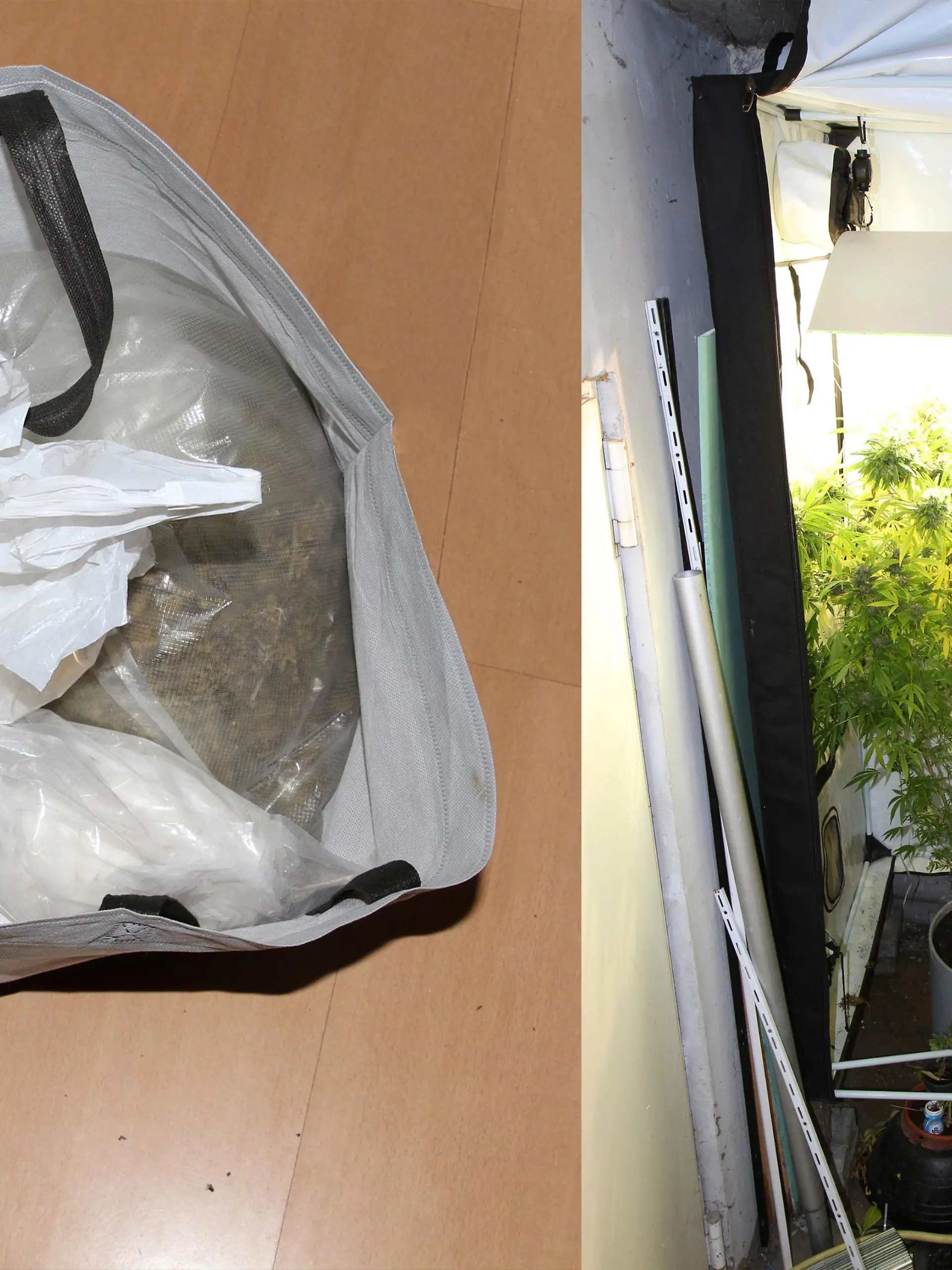 Drogenfund bei Hausdurchsuchung in Rödermark.