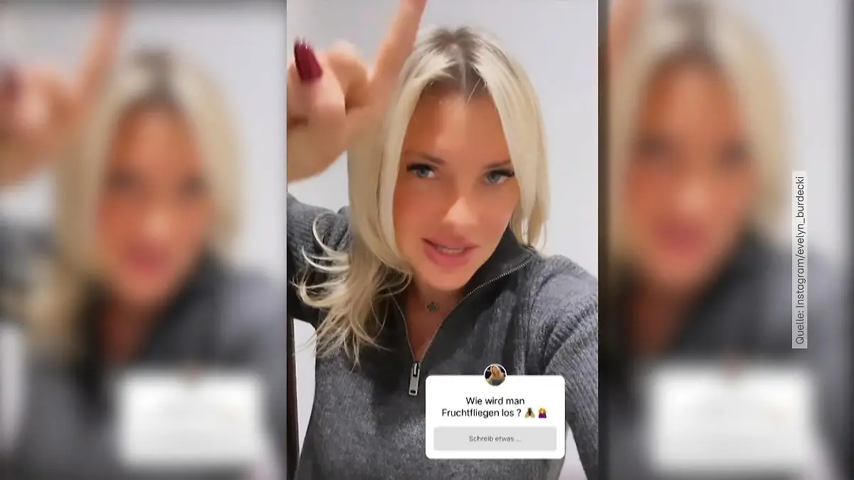 Ekel-Alarm! Evelyn Burdecki kämpft mit Plage „Ist das nicht Horror?"