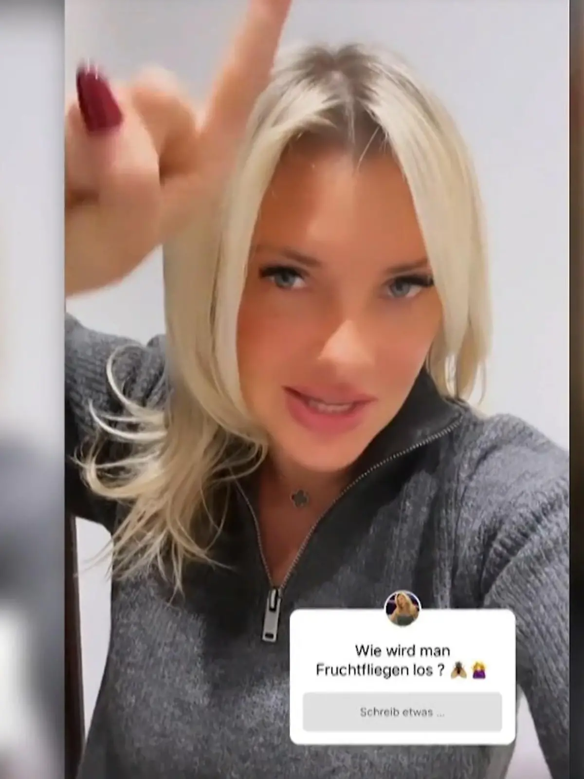 Auweia, Evelyn Burdecki ist völlig außer sich: „Ist das nicht Horror?“ In ihren eigenen vier Wänden tummeln sich zahlreiche Fruchtfliegen – und es wird immer schlimmer. Die fiese Plage zeigt die 35-Jährige im Video. 